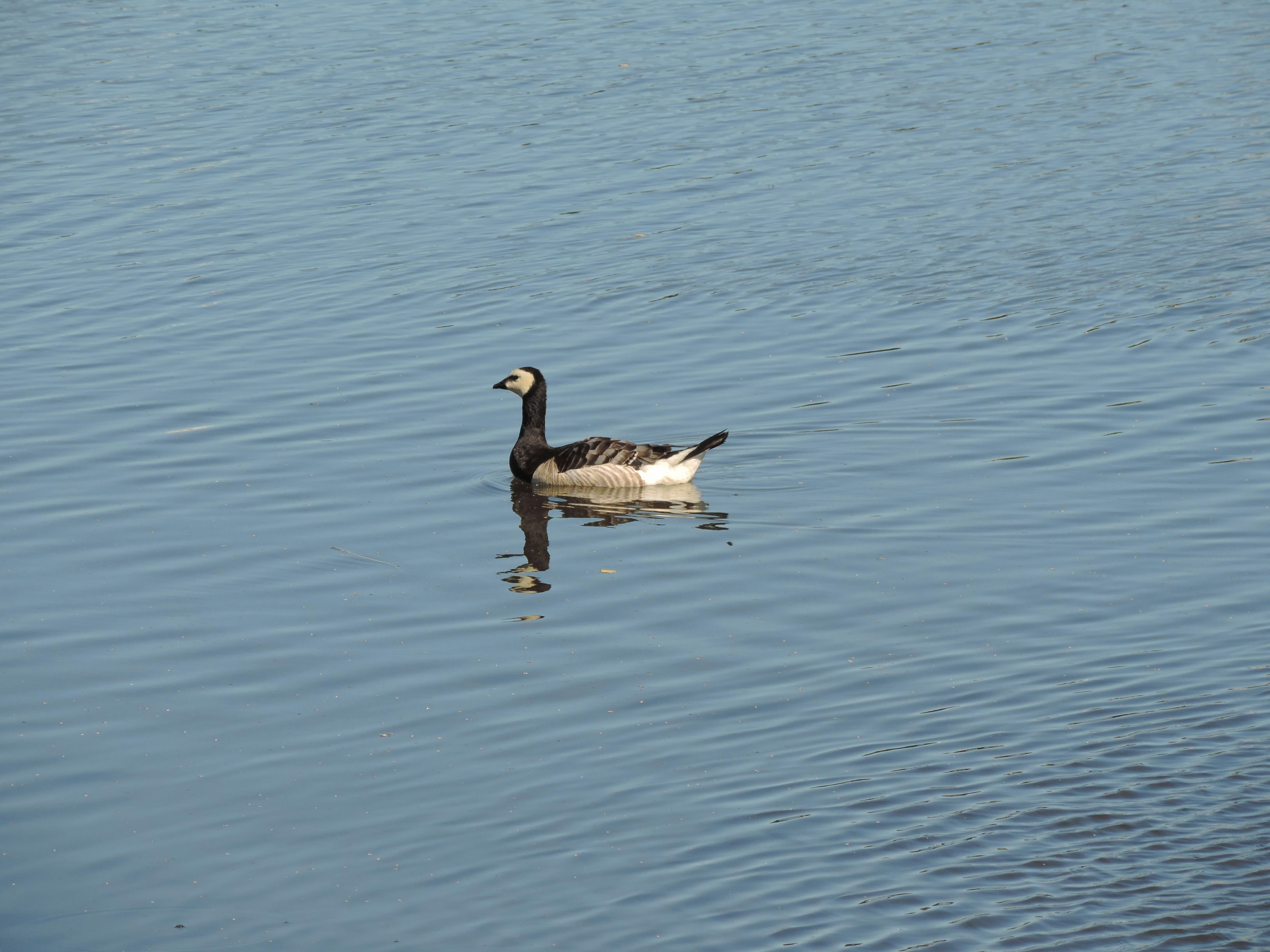 Vor Ort mit den Betroffenen nach Lösungen suchen