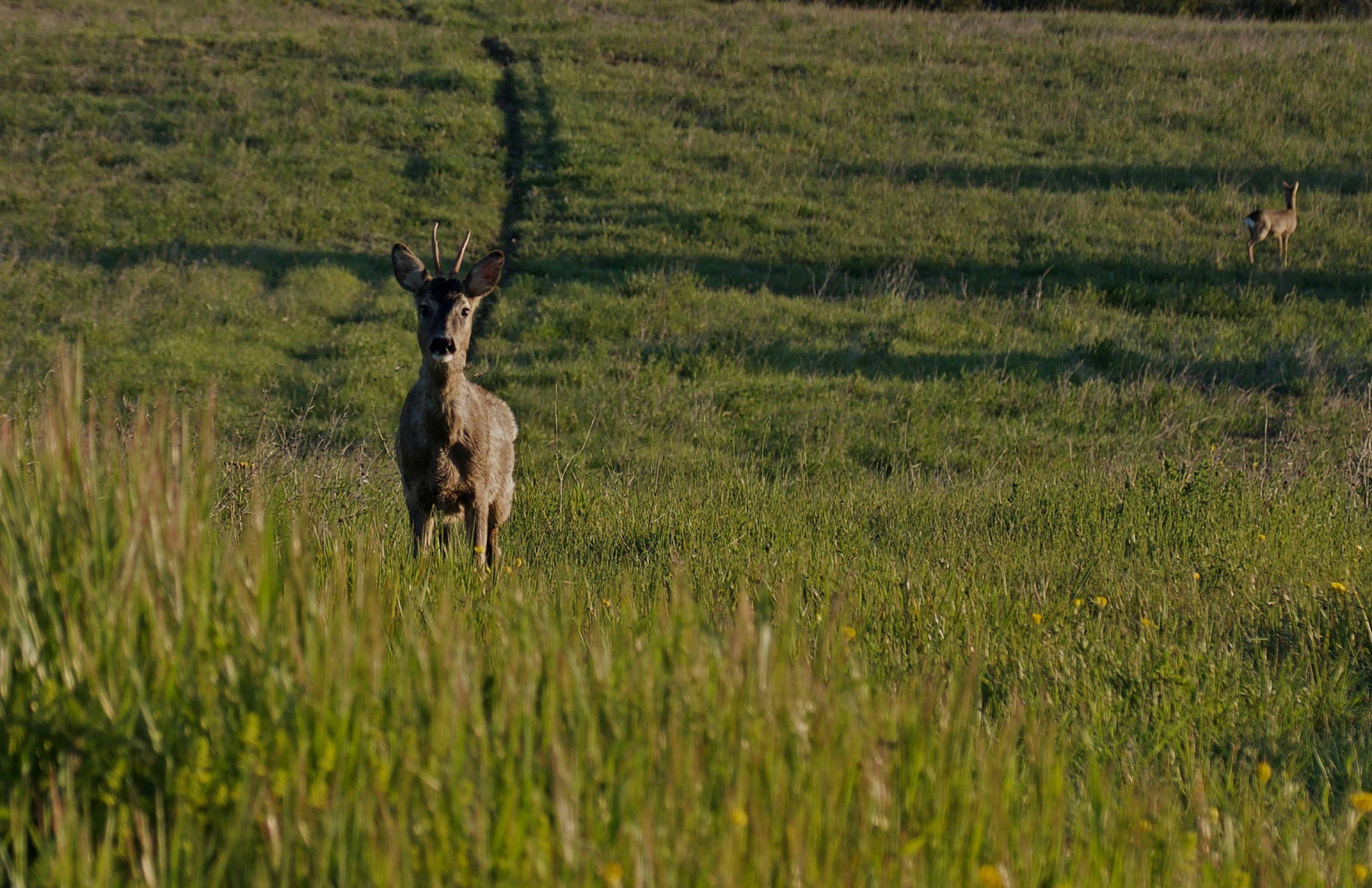Photo by mariobeducci