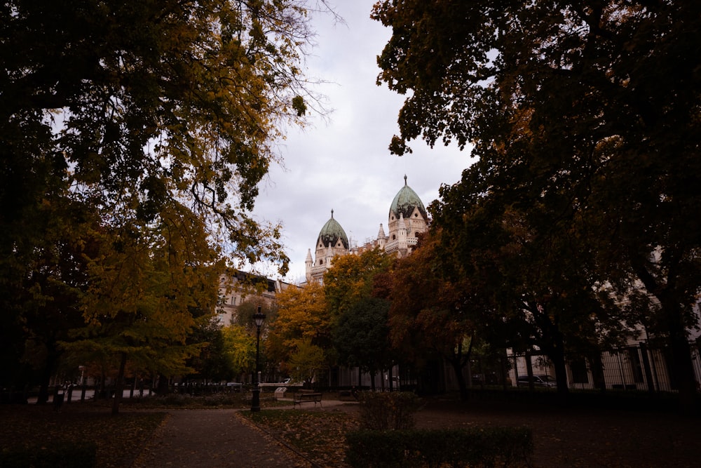 a view of a building through some trees