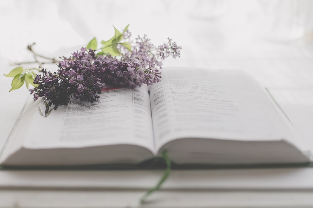 a book with a bunch of flowers on top of it