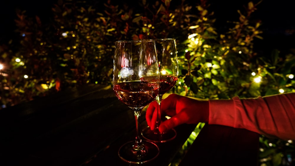 a person holding a glass of wine in their hand