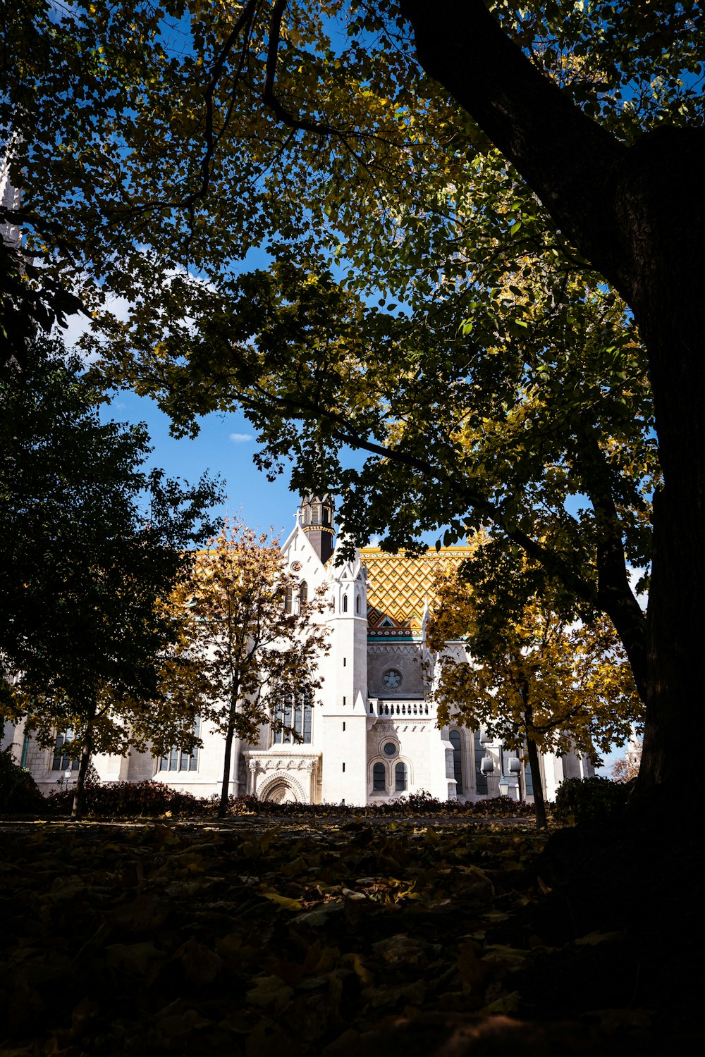 a large white building surrounded by trees and leaves