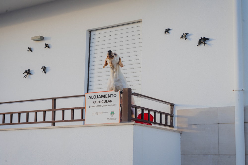 a woman in a white dress standing on a balcony