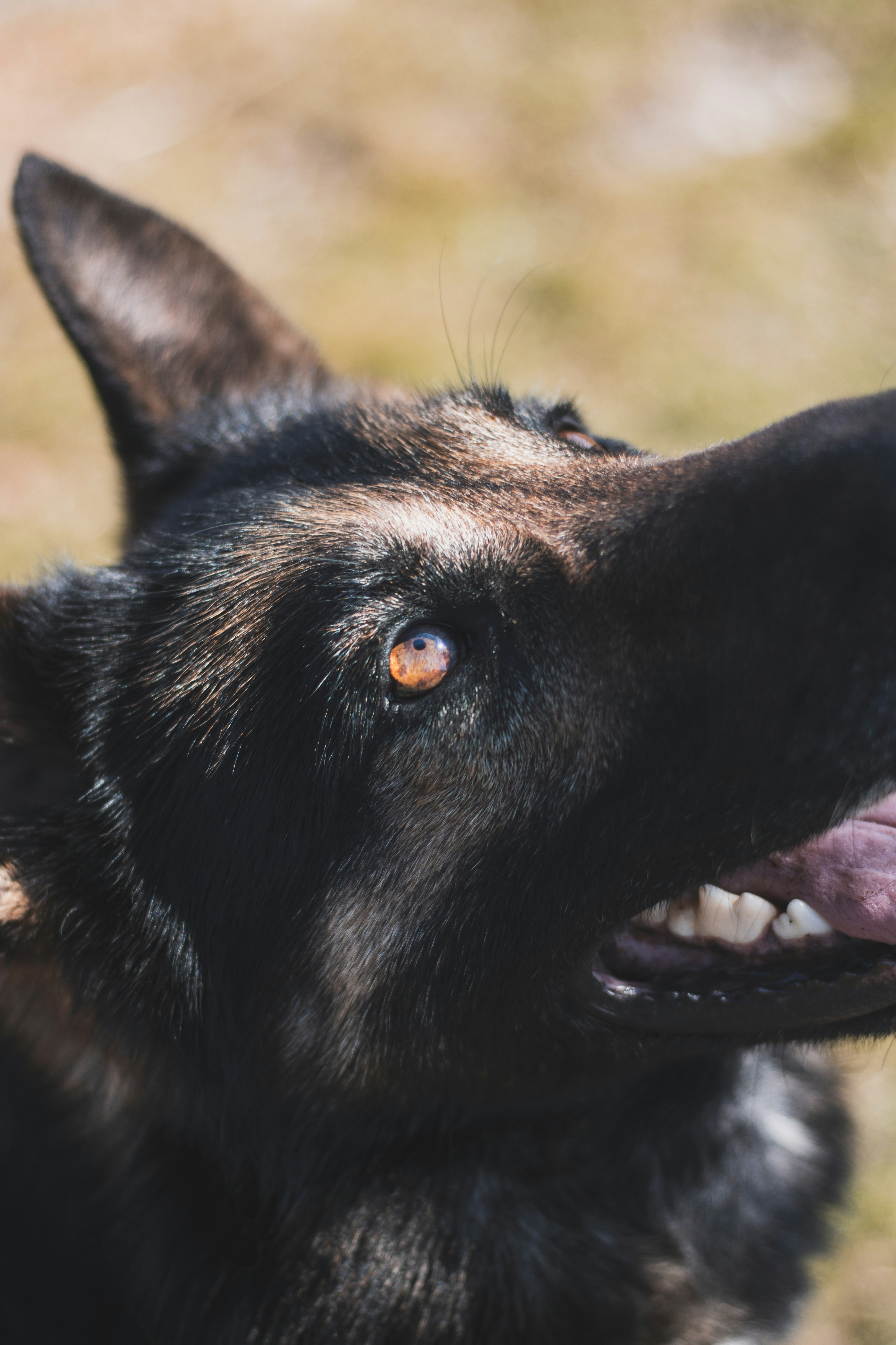 Photo by otohp_by_sakul