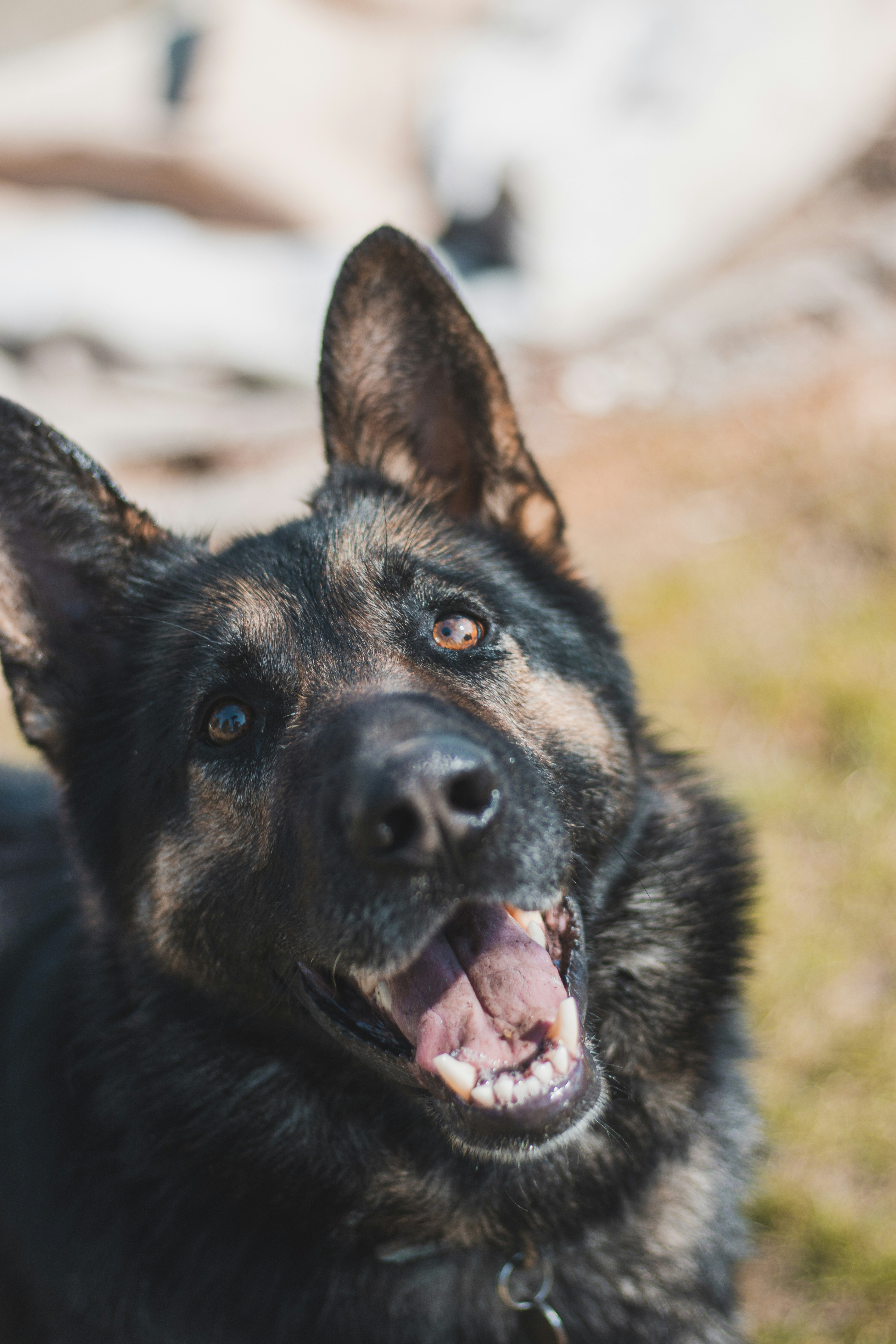 Photo by otohp_by_sakul