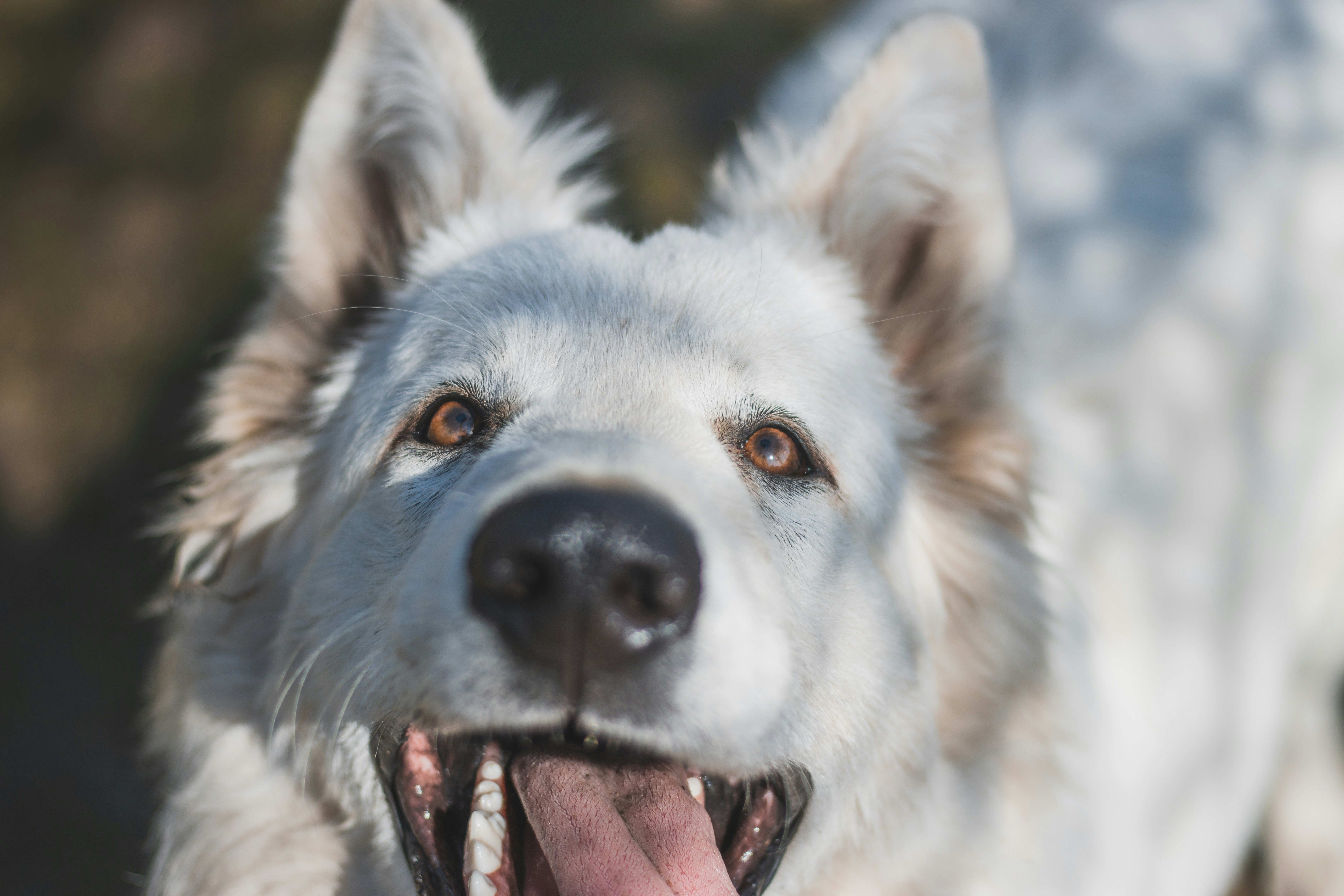 Photo by otohp_by_sakul