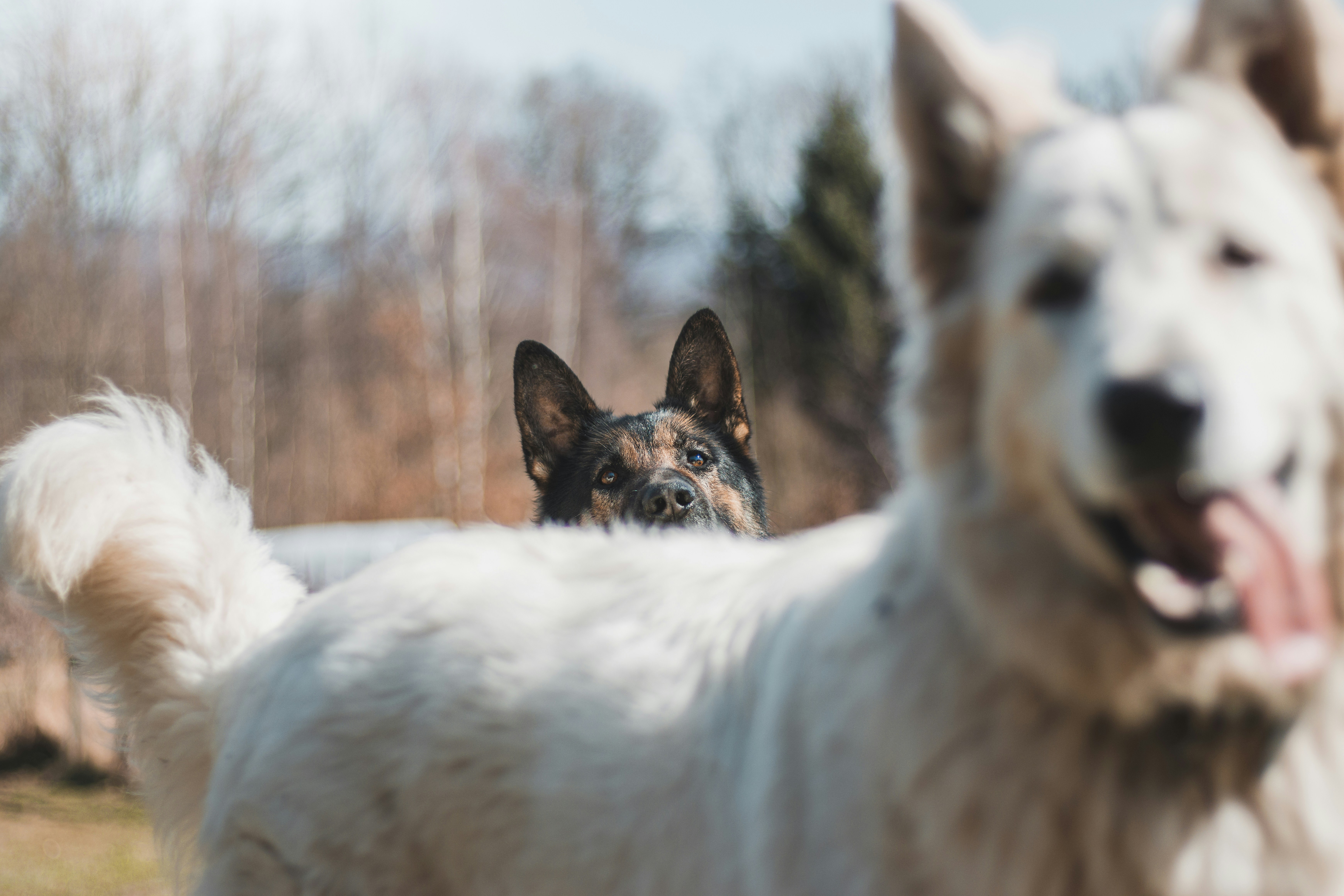 Photo by otohp_by_sakul