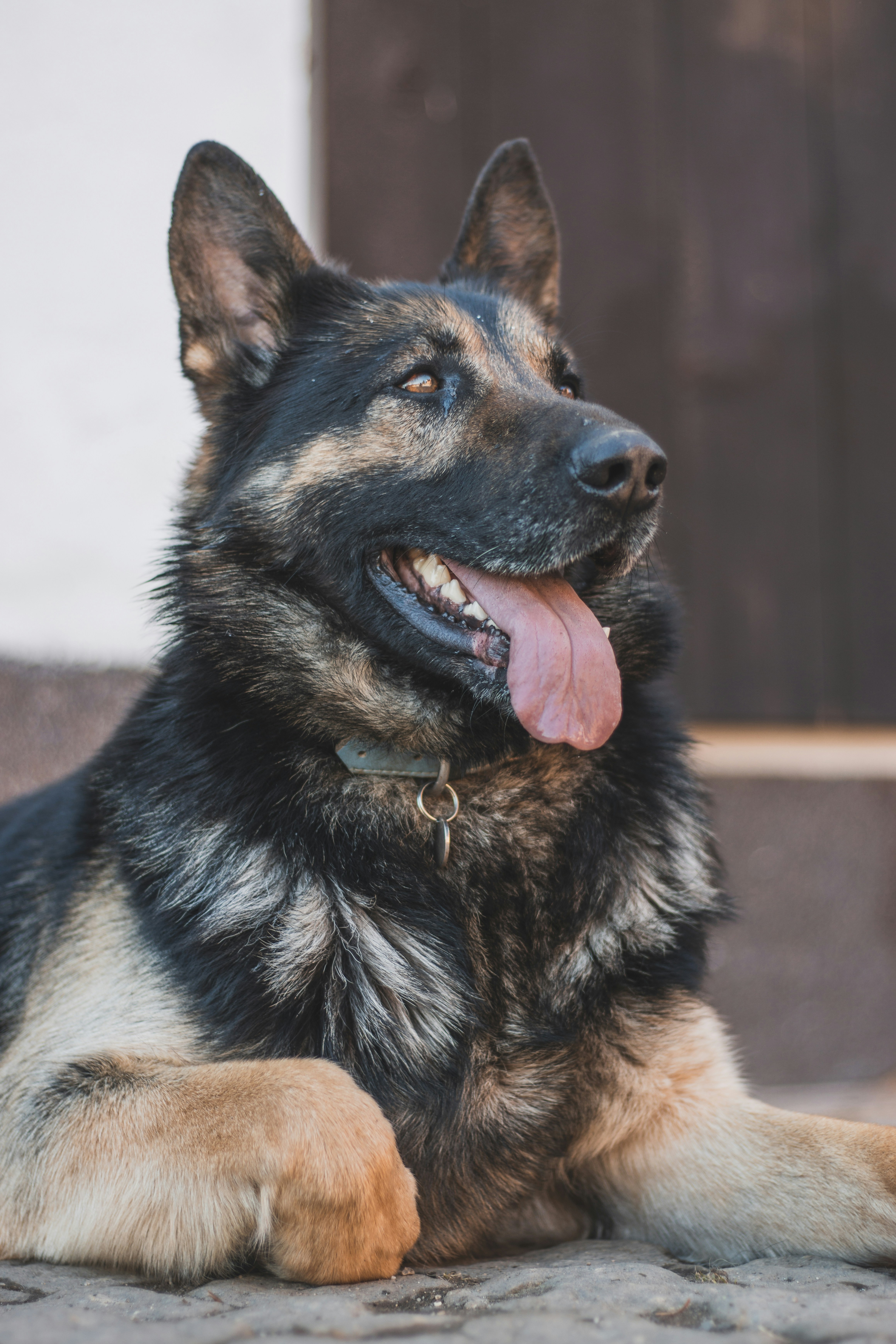 Photo by otohp_by_sakul