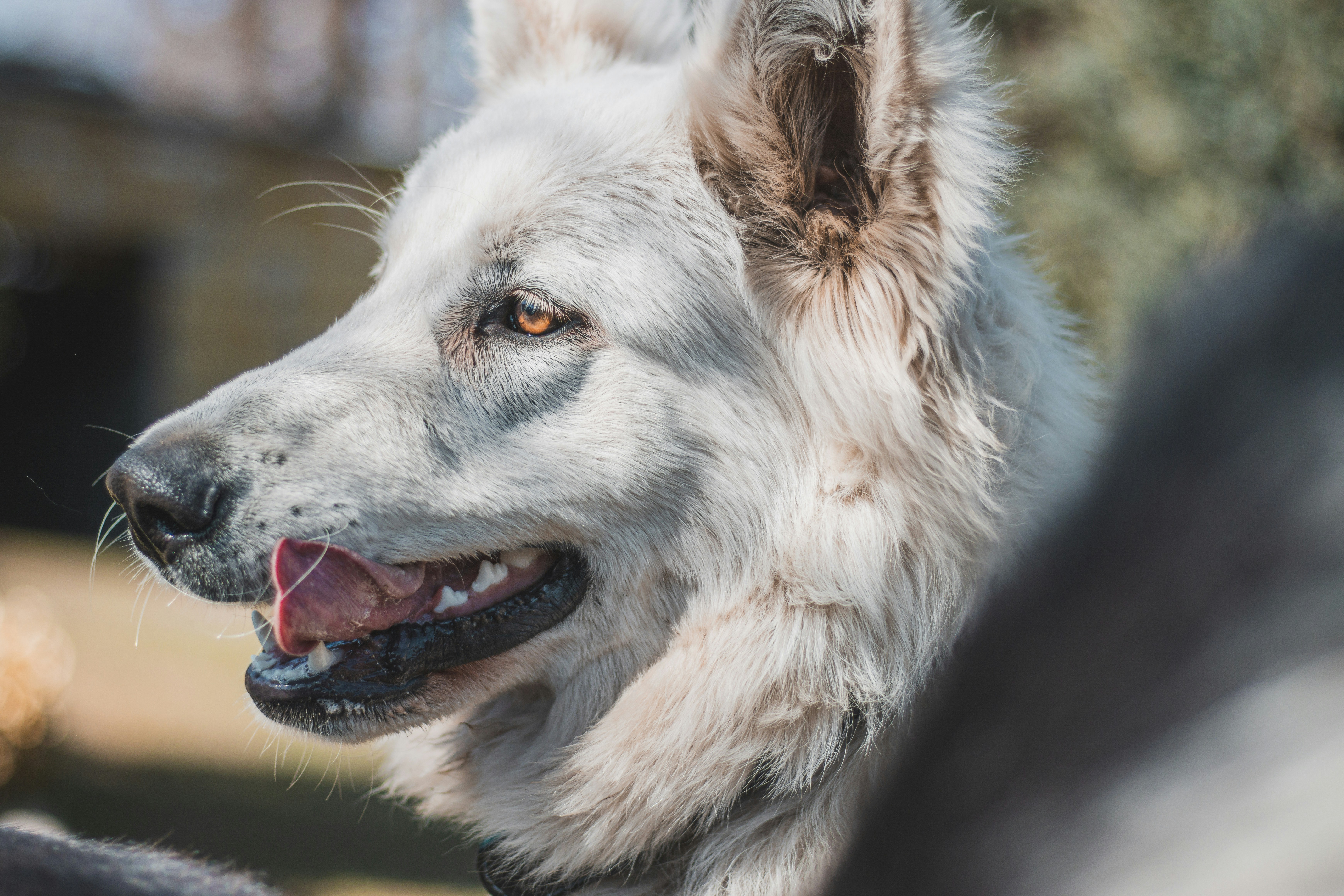 Photo by otohp_by_sakul