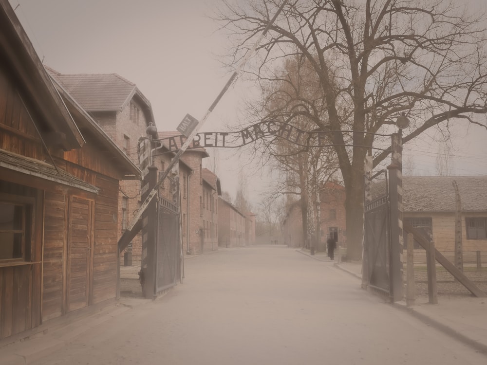 a foggy street with buildings and a tree