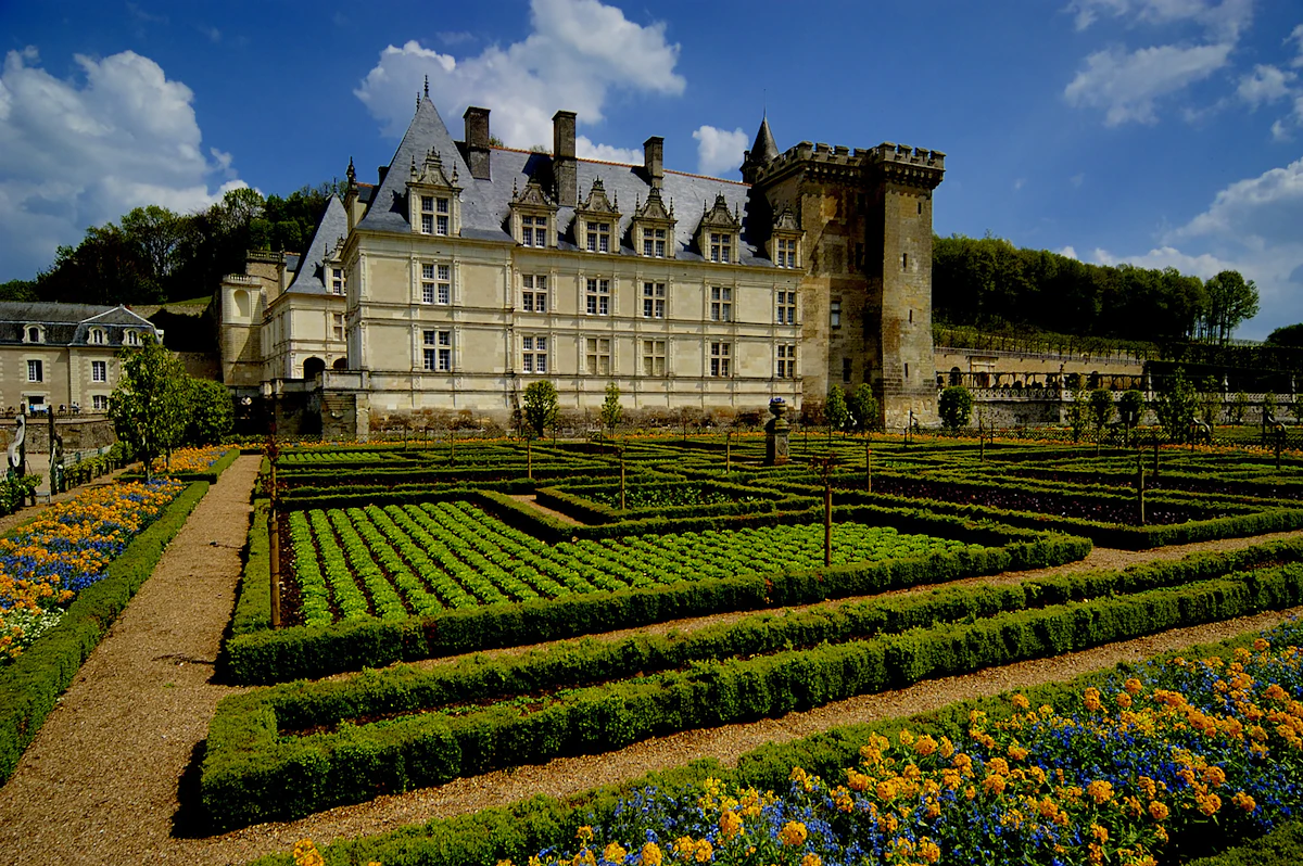 France Magnifique Discovery, photo 3