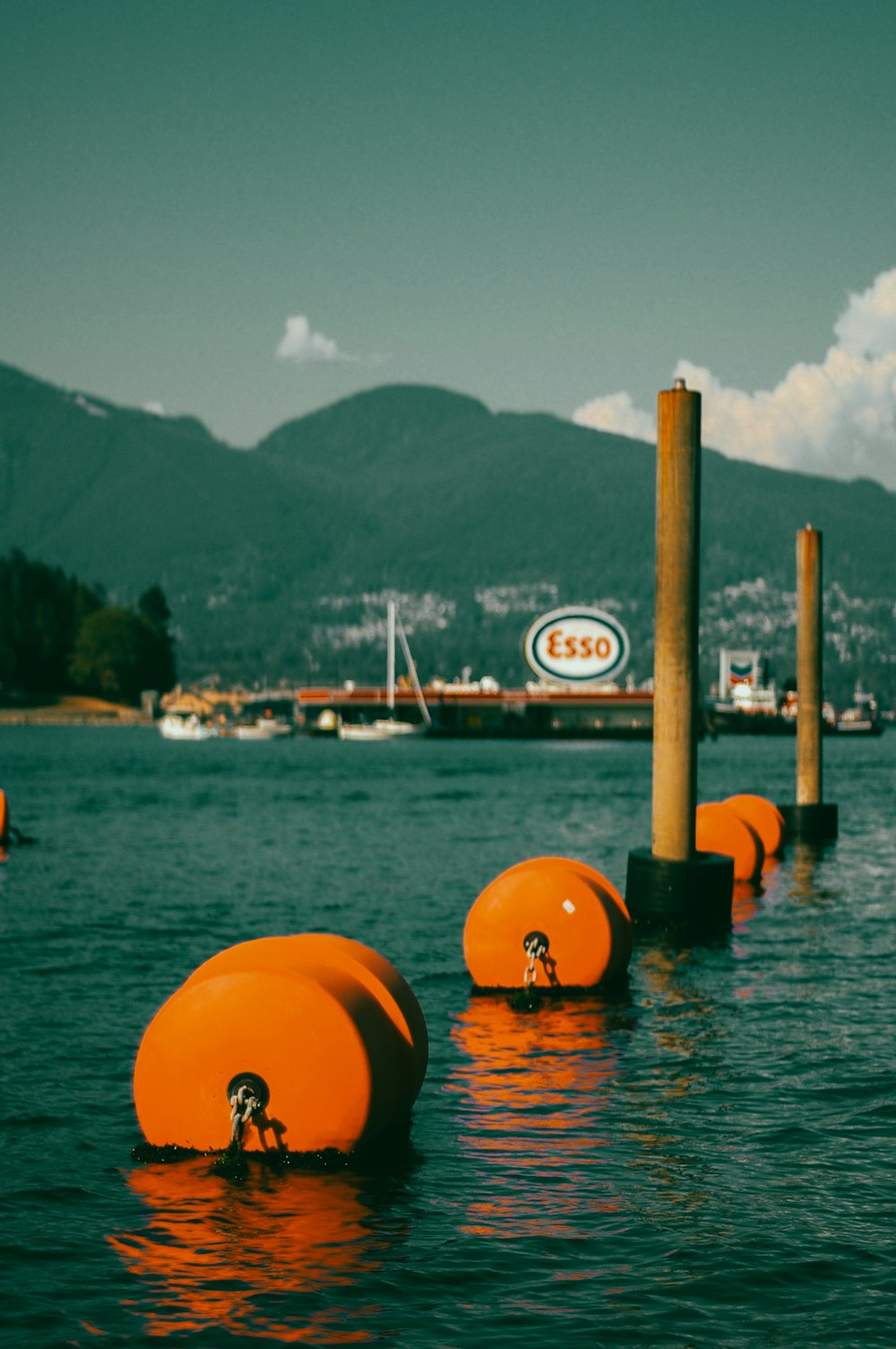 a group of orange buoys floating on top of a body of water
