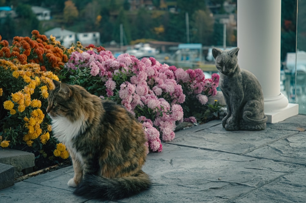 two cats sitting in front of a flower garden