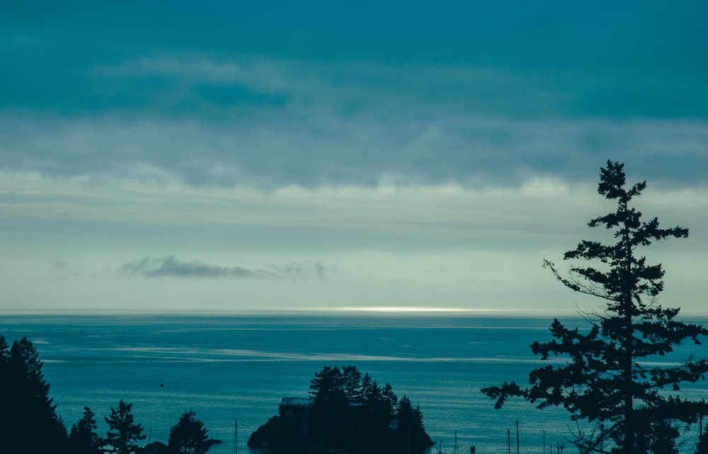 a view of the ocean from the top of a hill