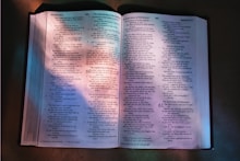 an open bible with a shadow of a tree on it