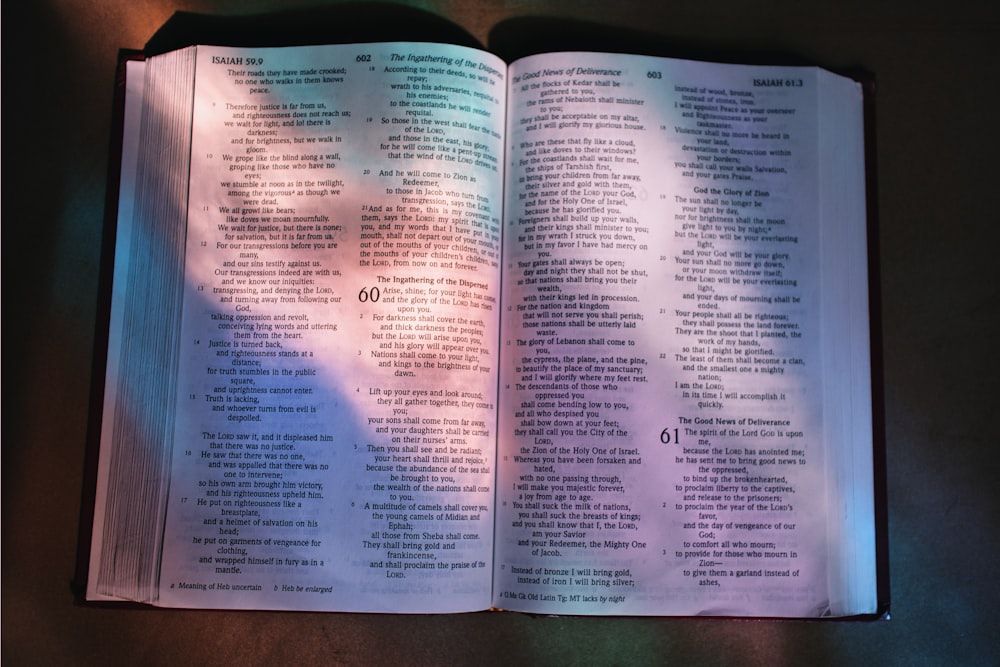 uma bíblia aberta com uma sombra de uma árvore sobre ela