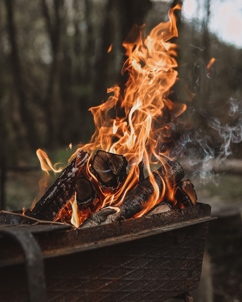Brace e fiamme controllate in una griglia