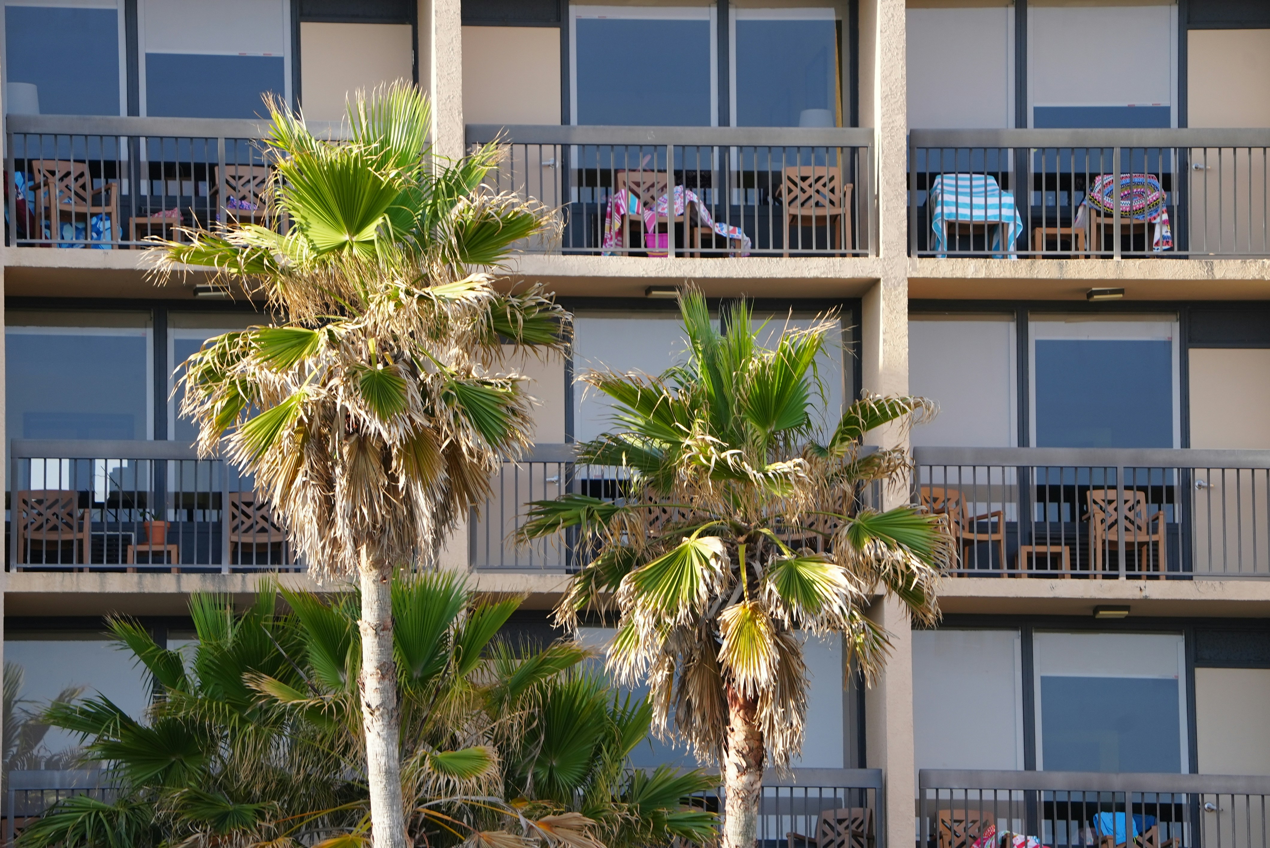 Photo by anthonymckissic42