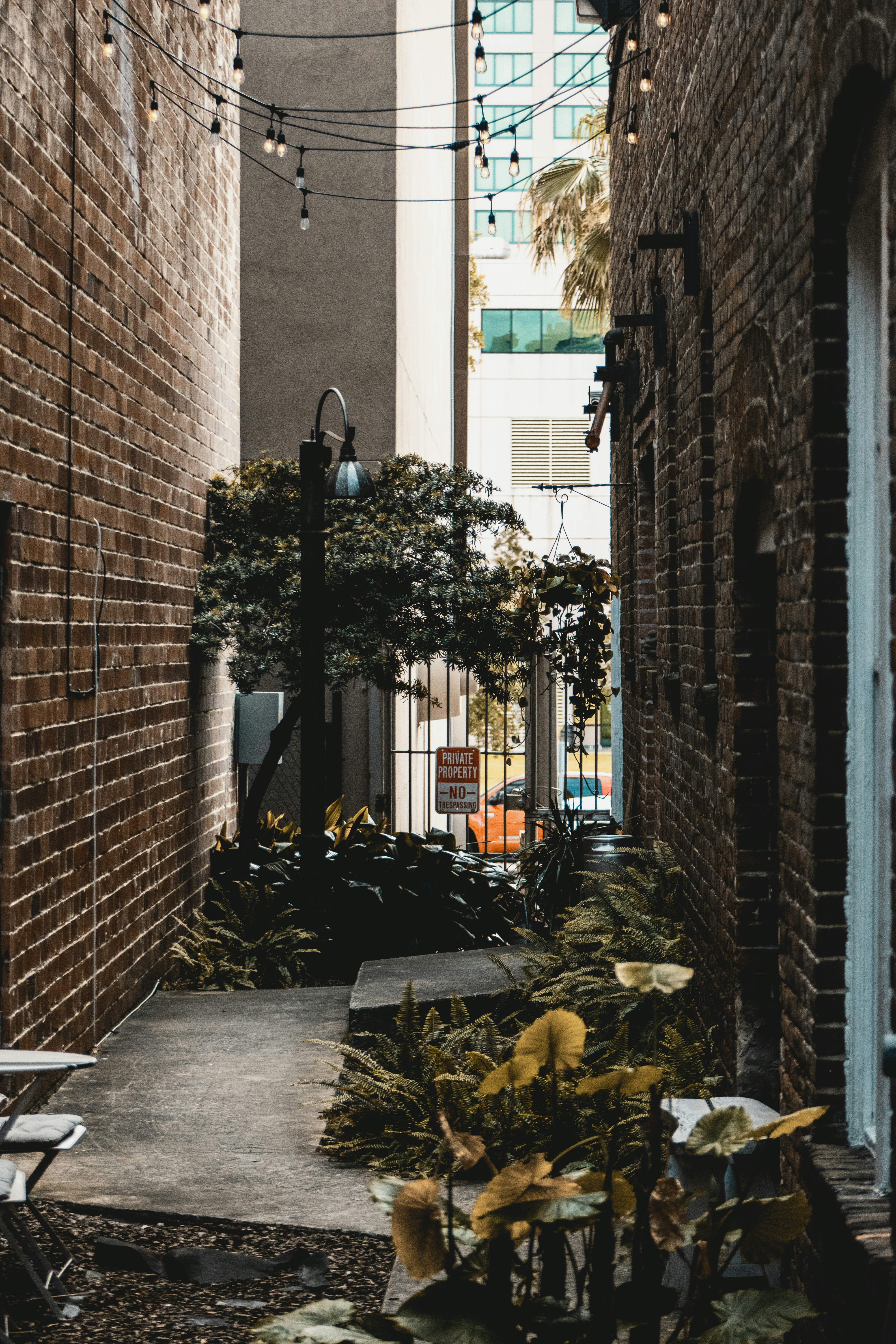 a narrow alley way with potted plants on either side