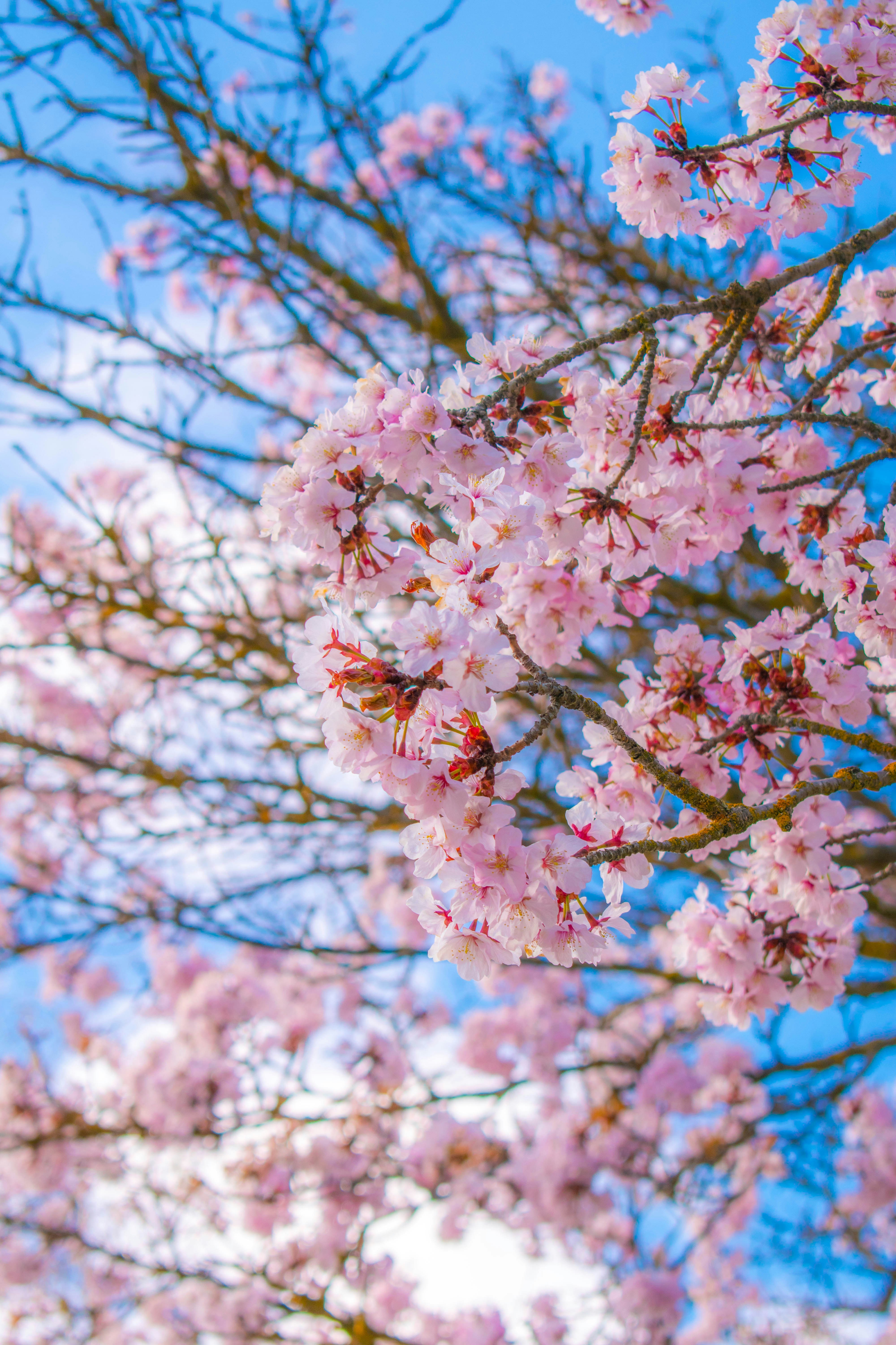 Photo by tranhoainam25