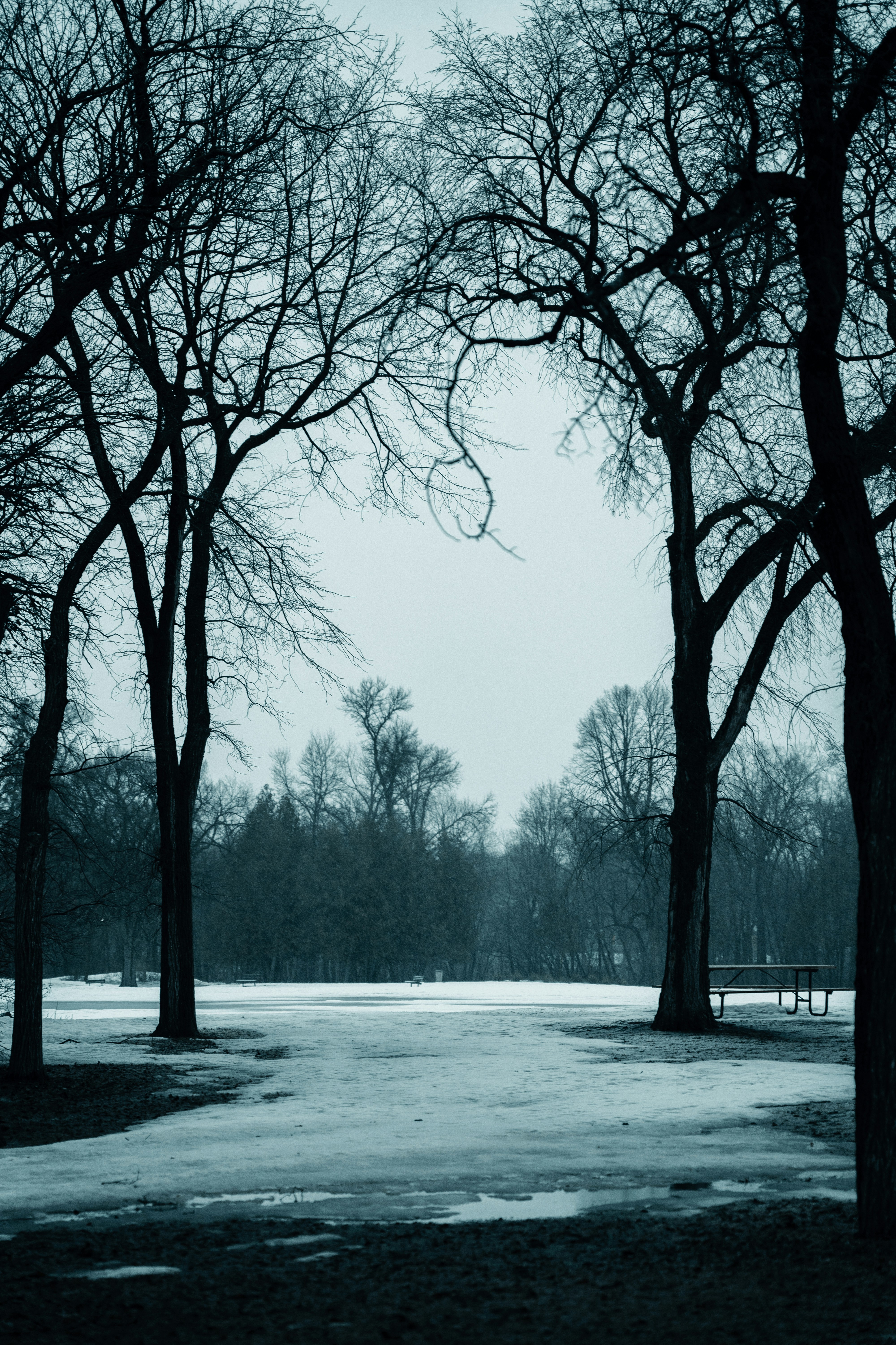 Photo by amanpreetdeol1