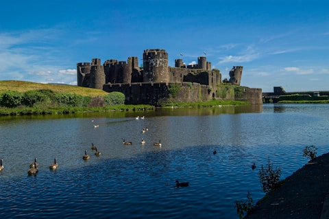 a group of ducks floating on top of a lake next to a castle