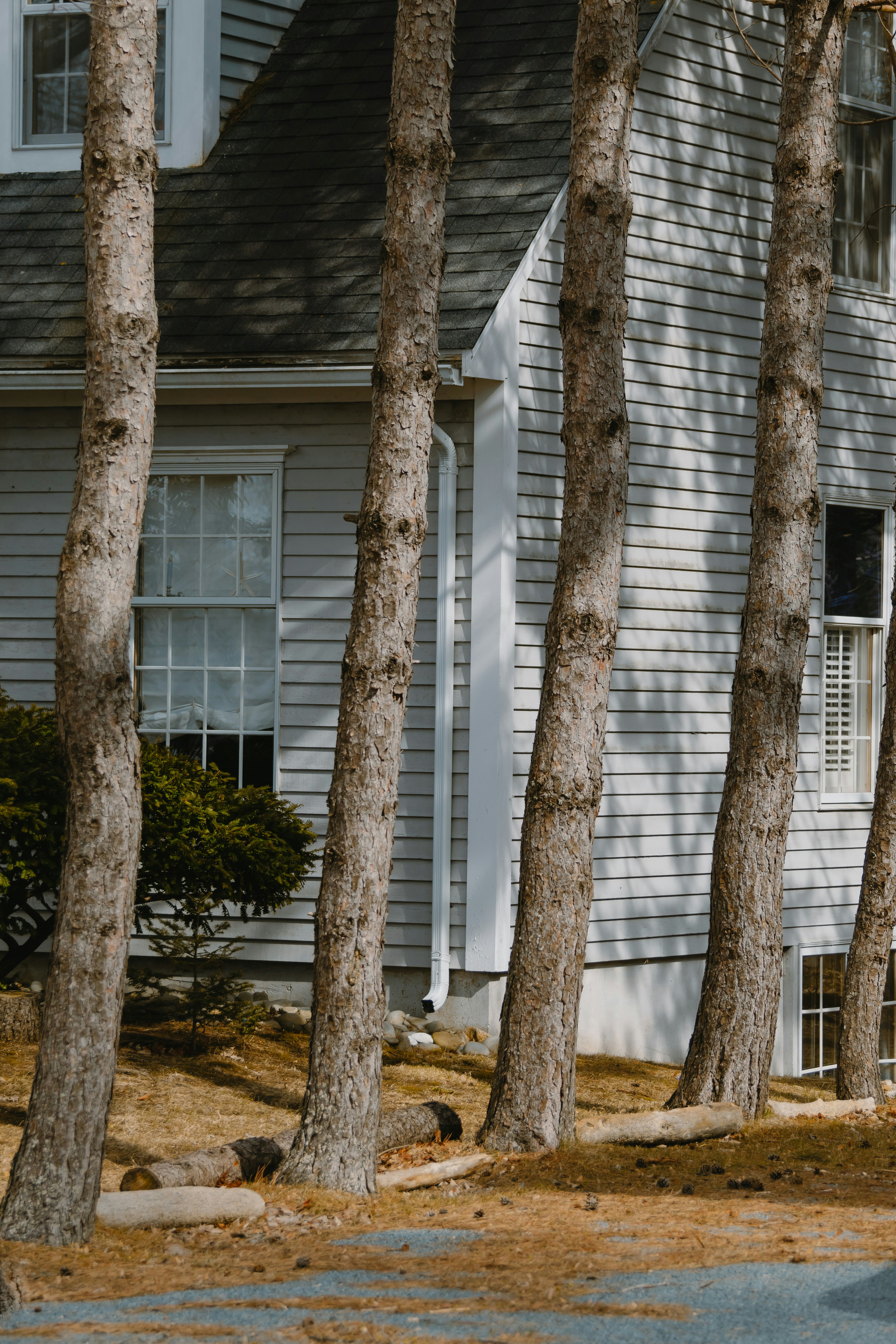 Photo by janwalterluigi