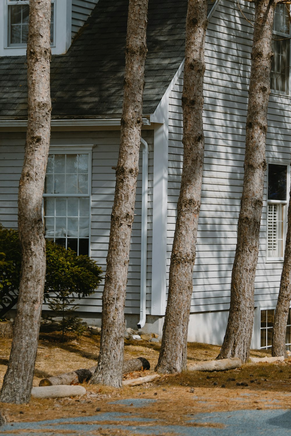 a white house with trees in front of it