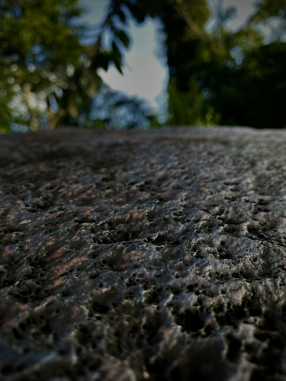 a close up of a skateboard with trees in the background
