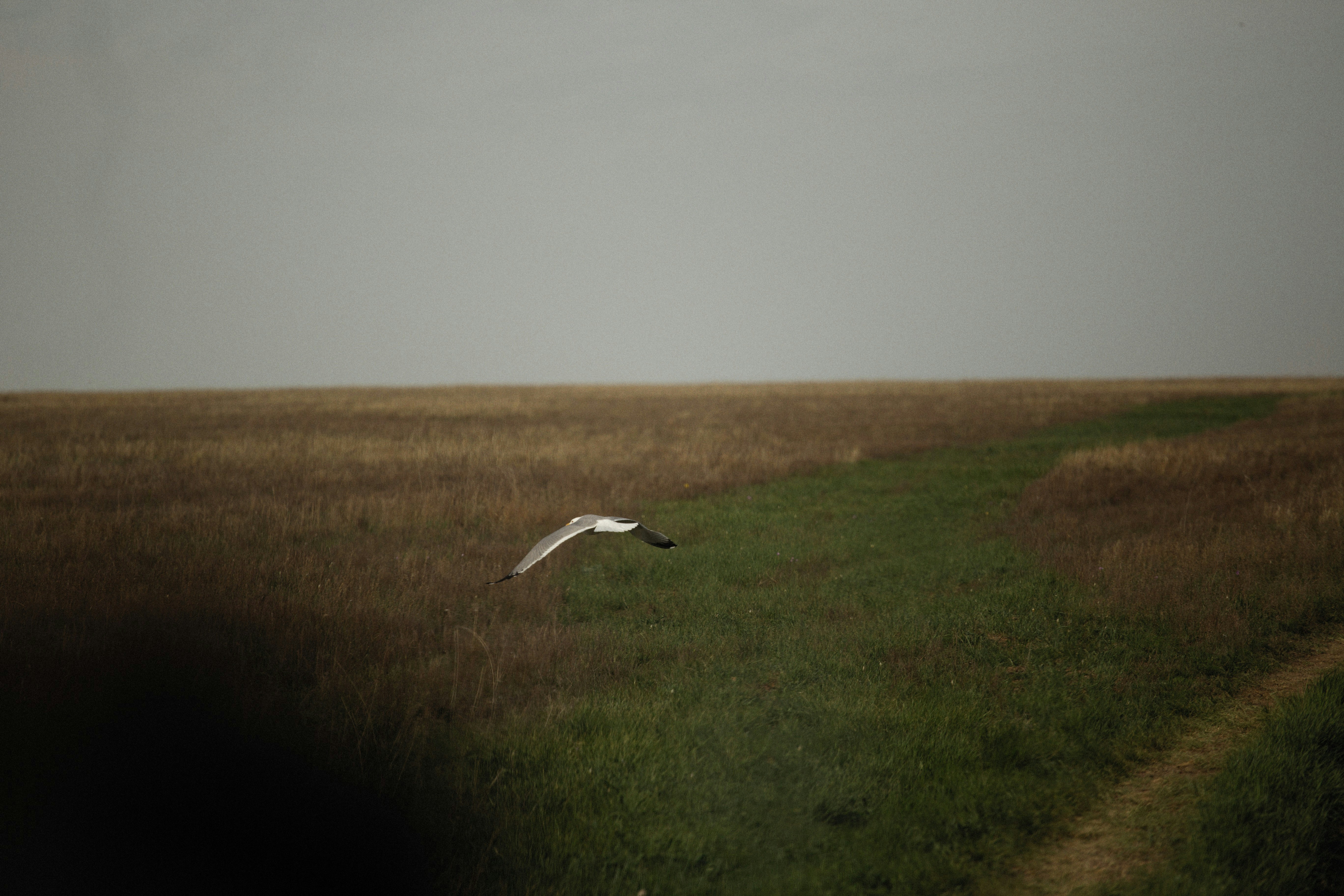 Photo by alexeydemidov