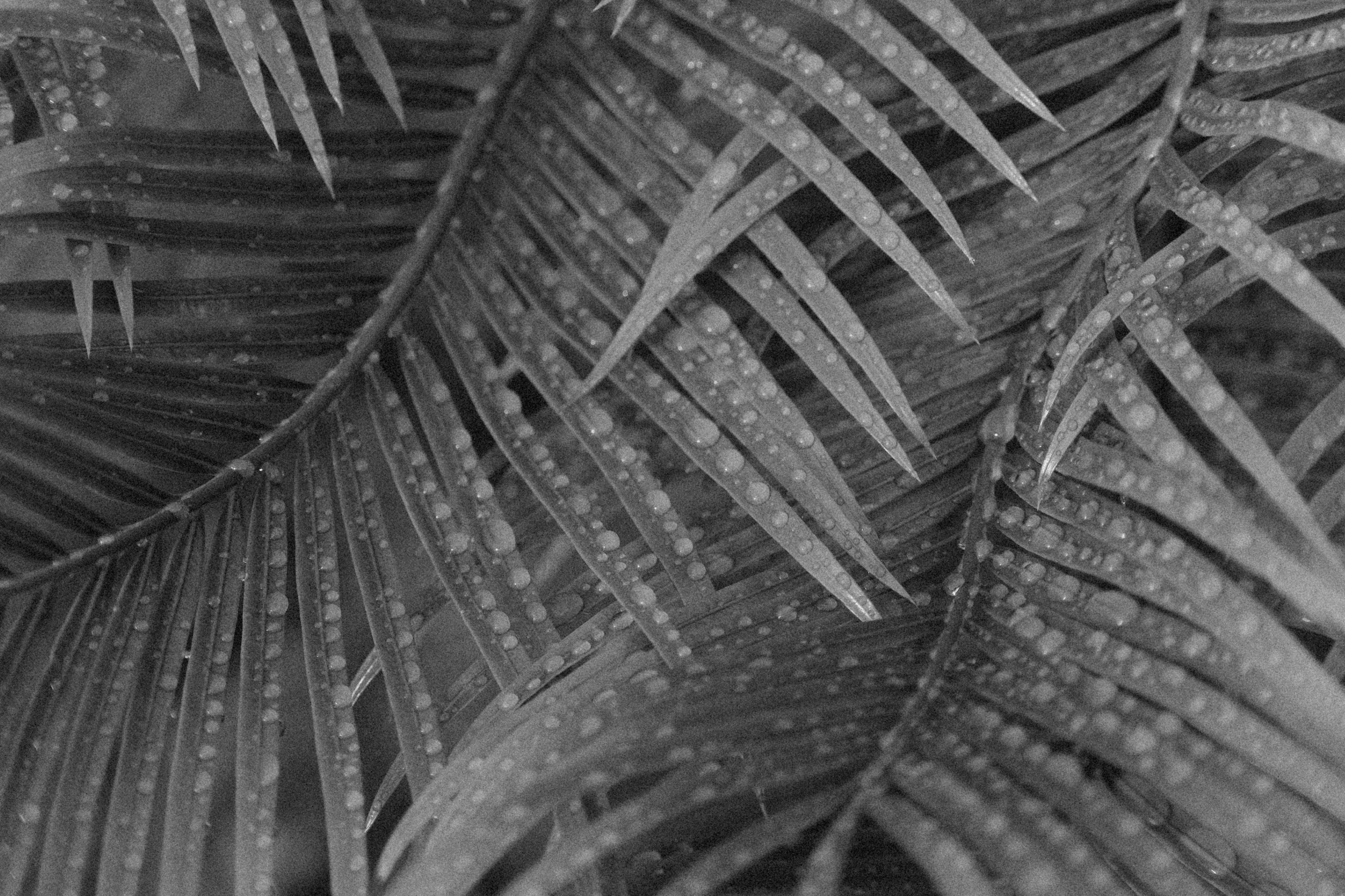 Photo by alexeydemidov