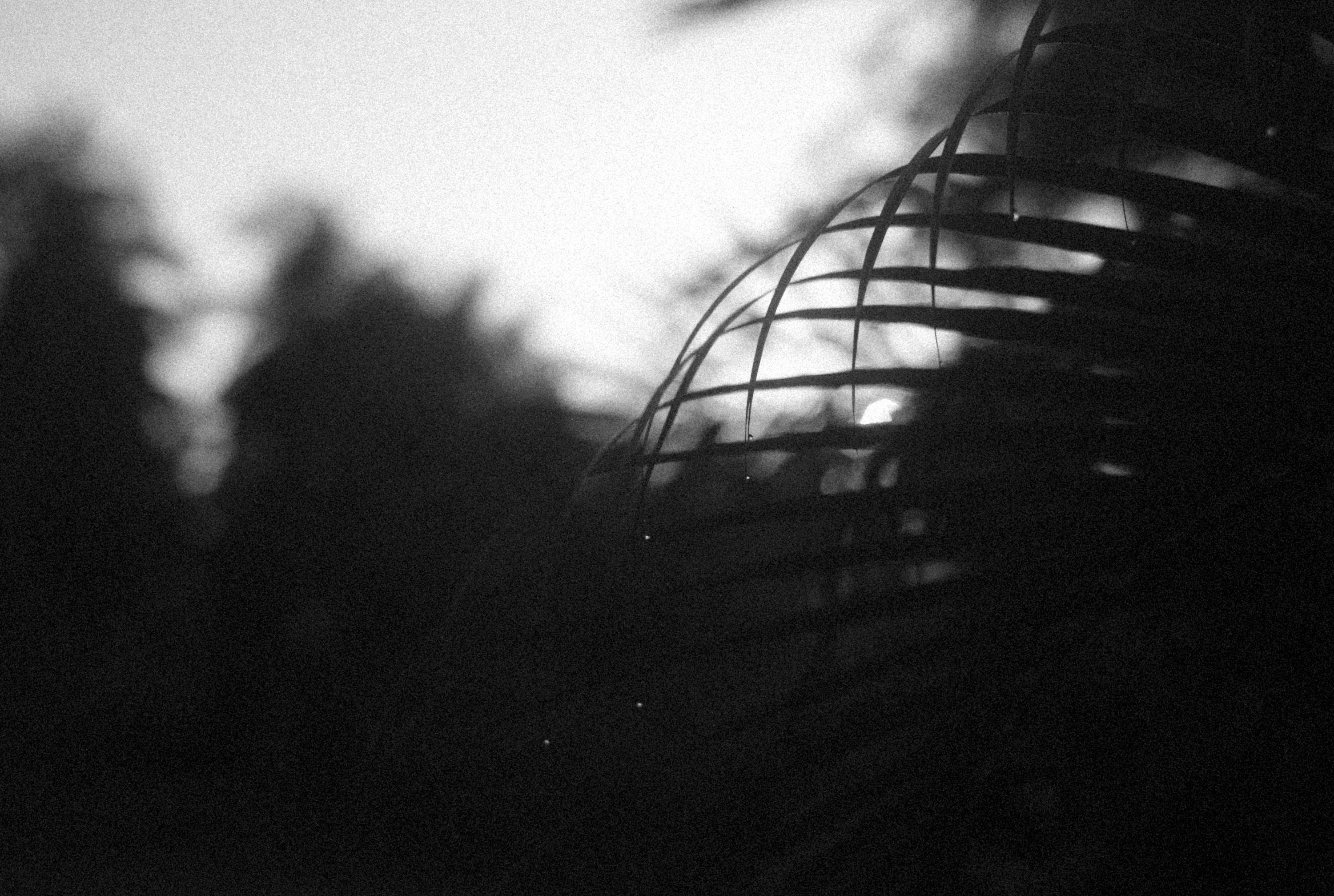 Photo by alexeydemidov