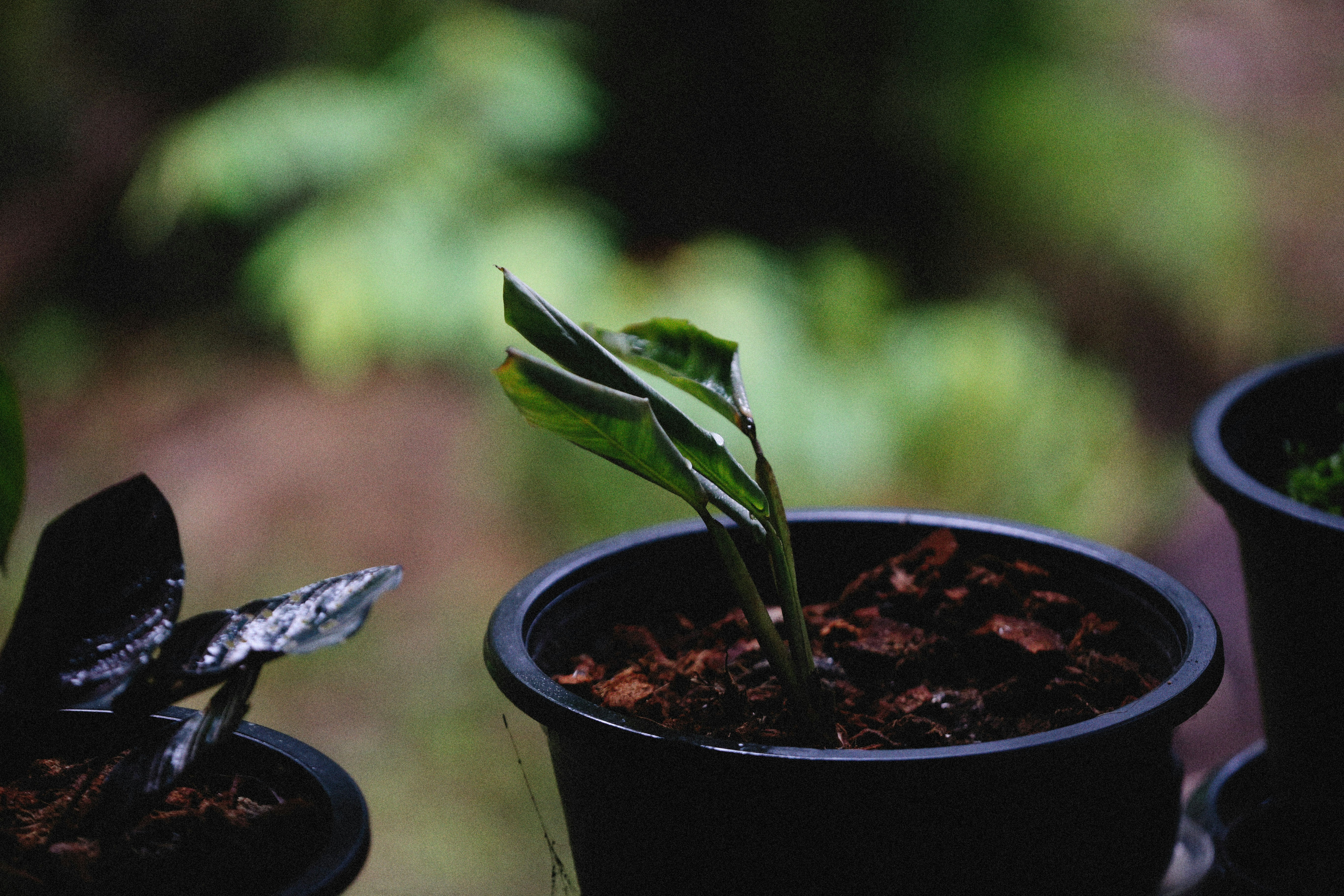 Photo by alexeydemidov