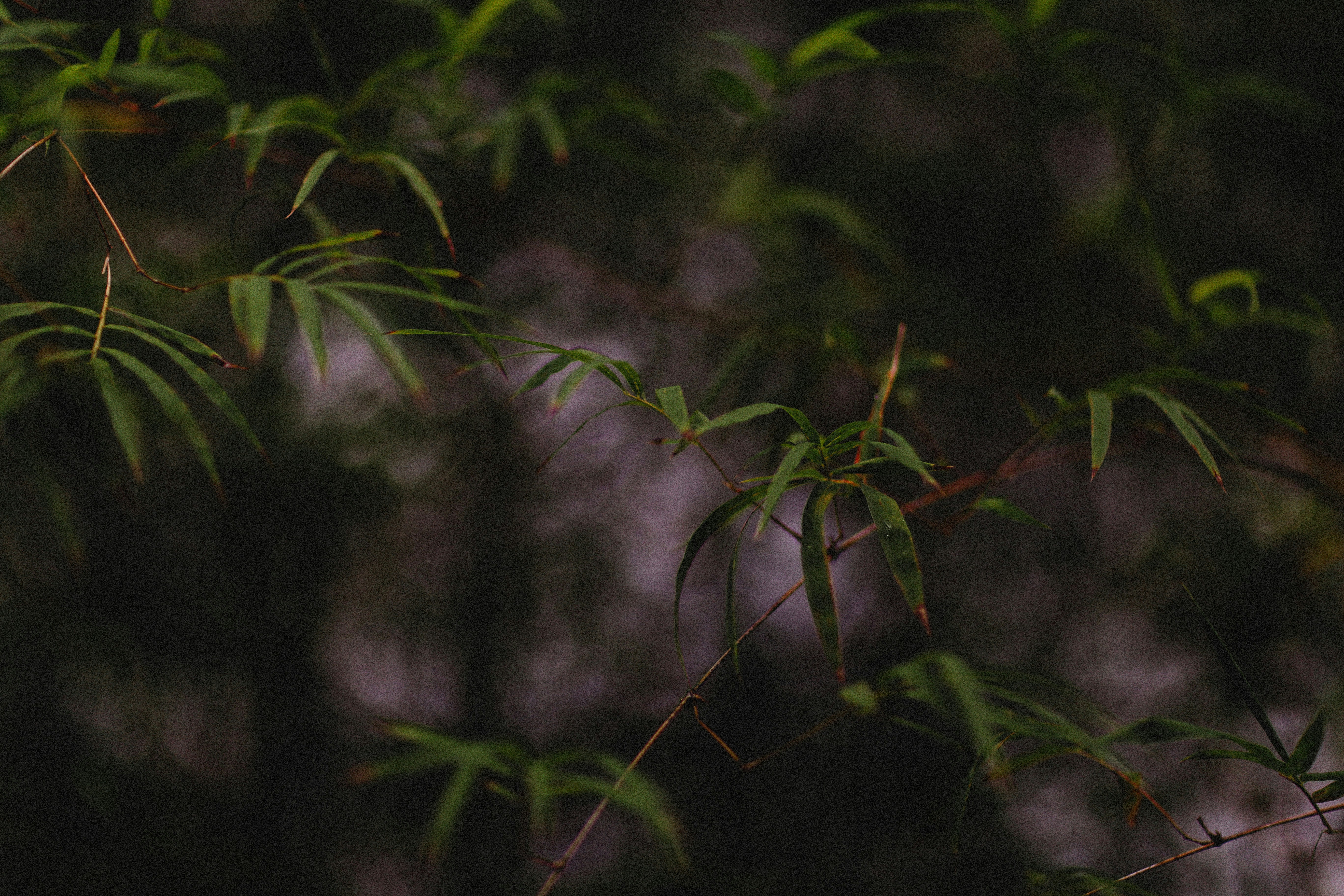 Photo by alexeydemidov