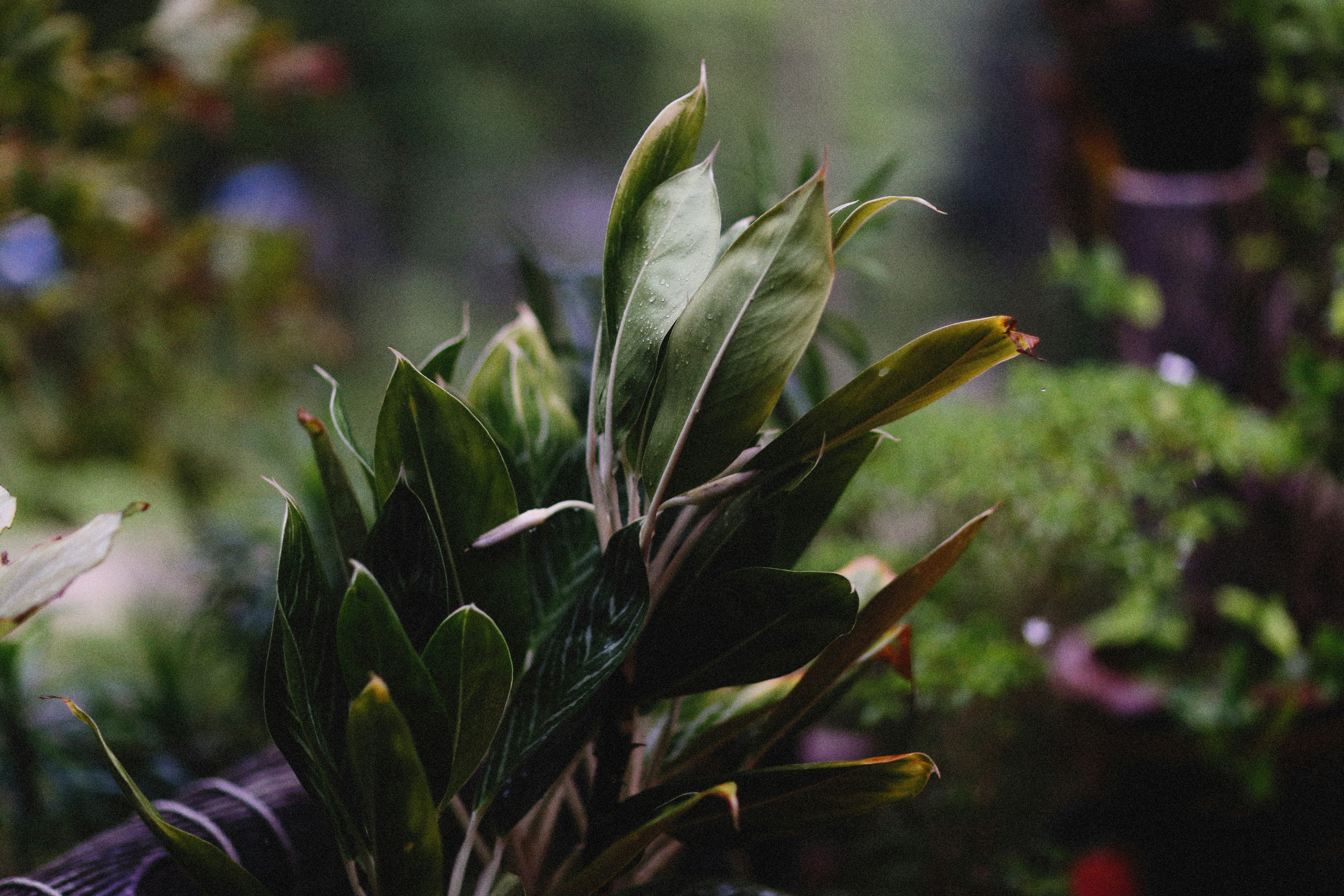 Photo by alexeydemidov