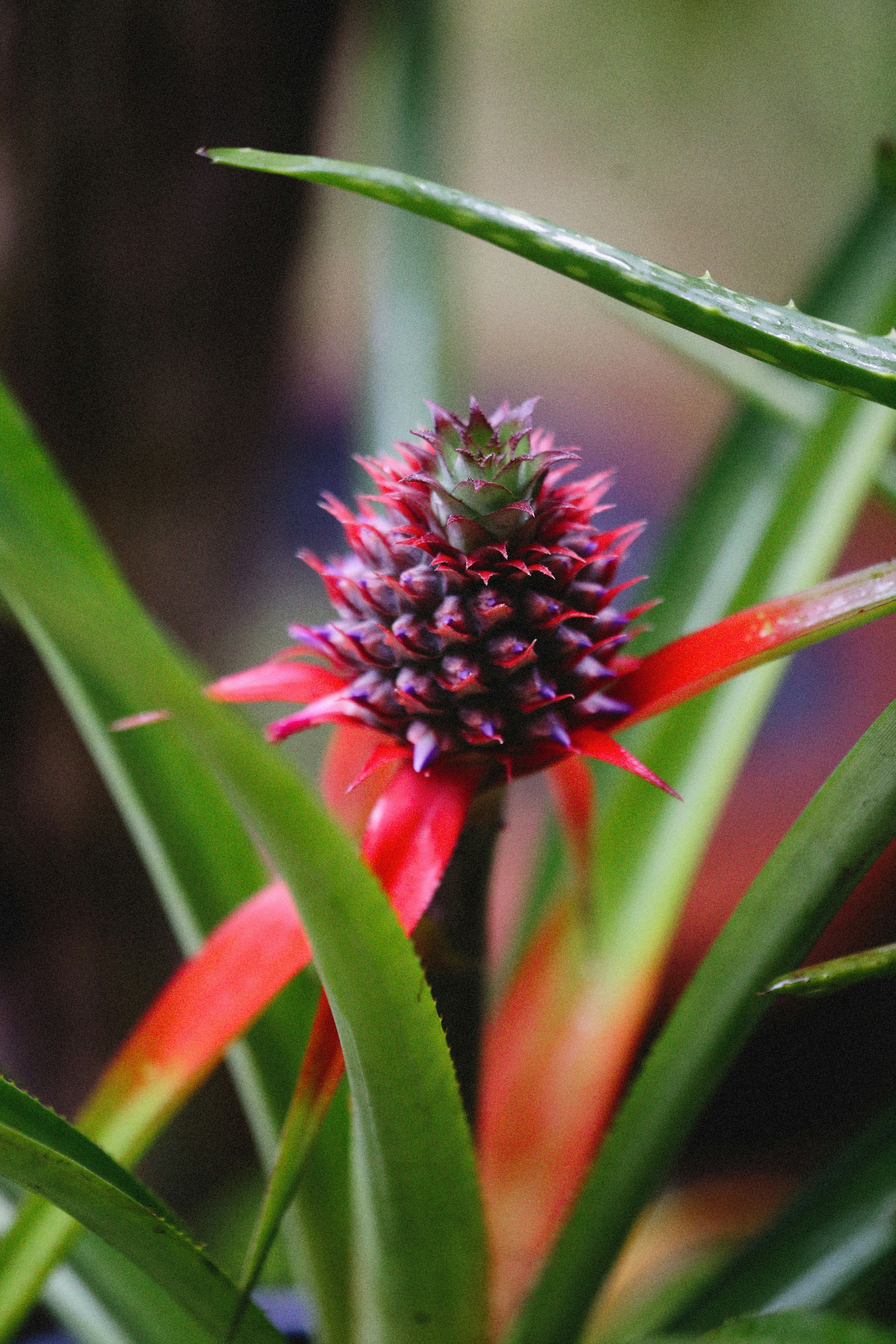 Photo by alexeydemidov