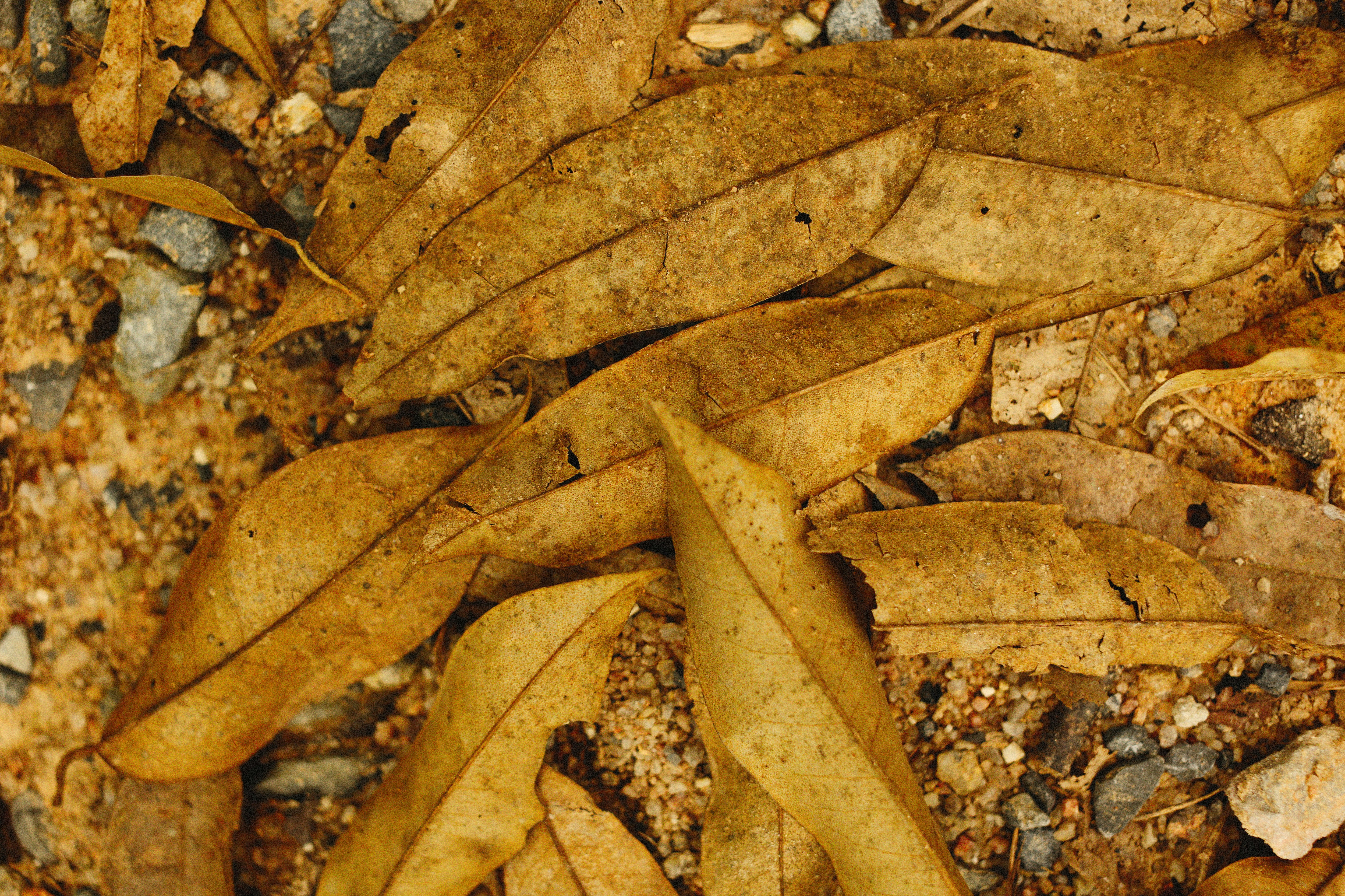 Photo by alexeydemidov