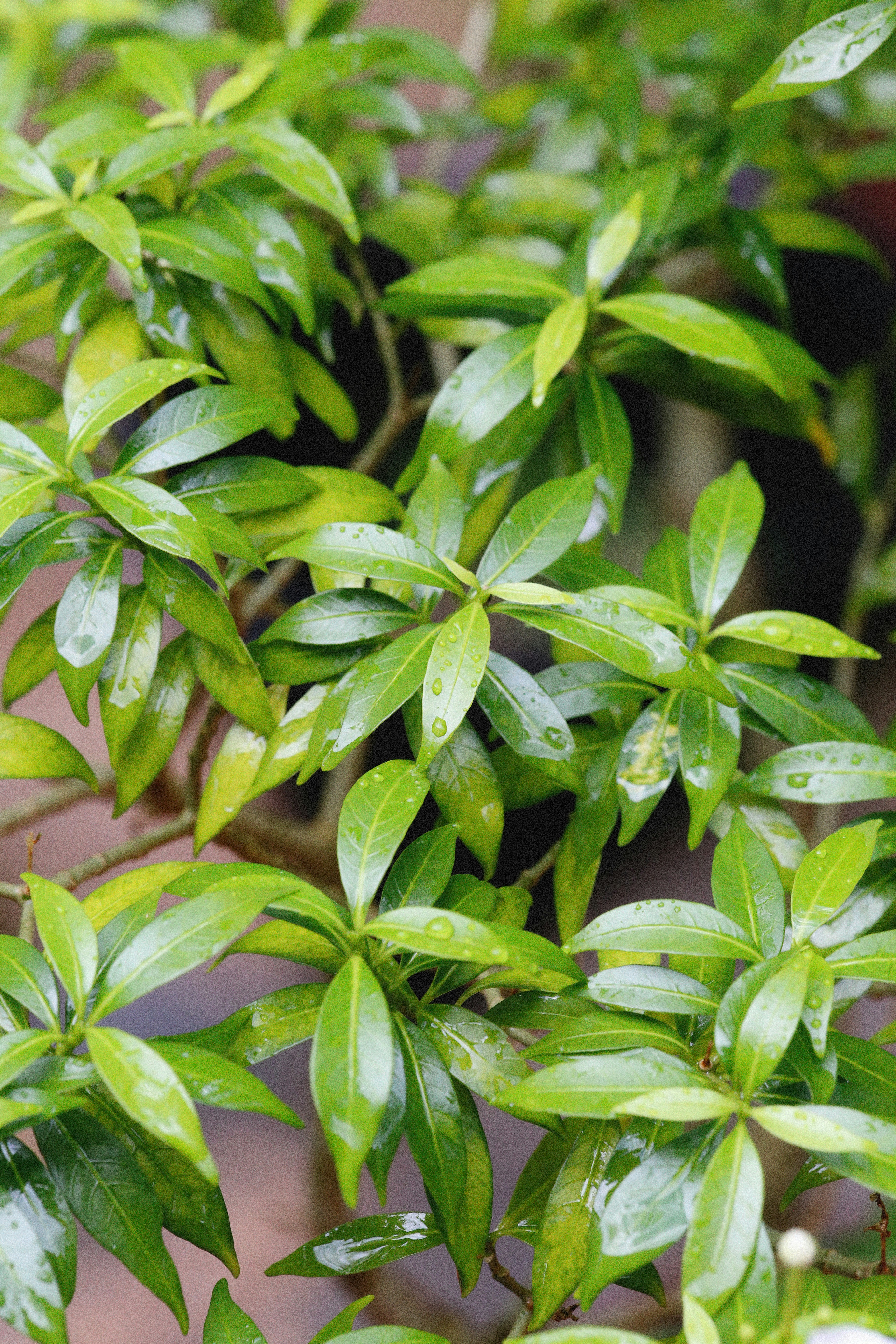 Photo by alexeydemidov