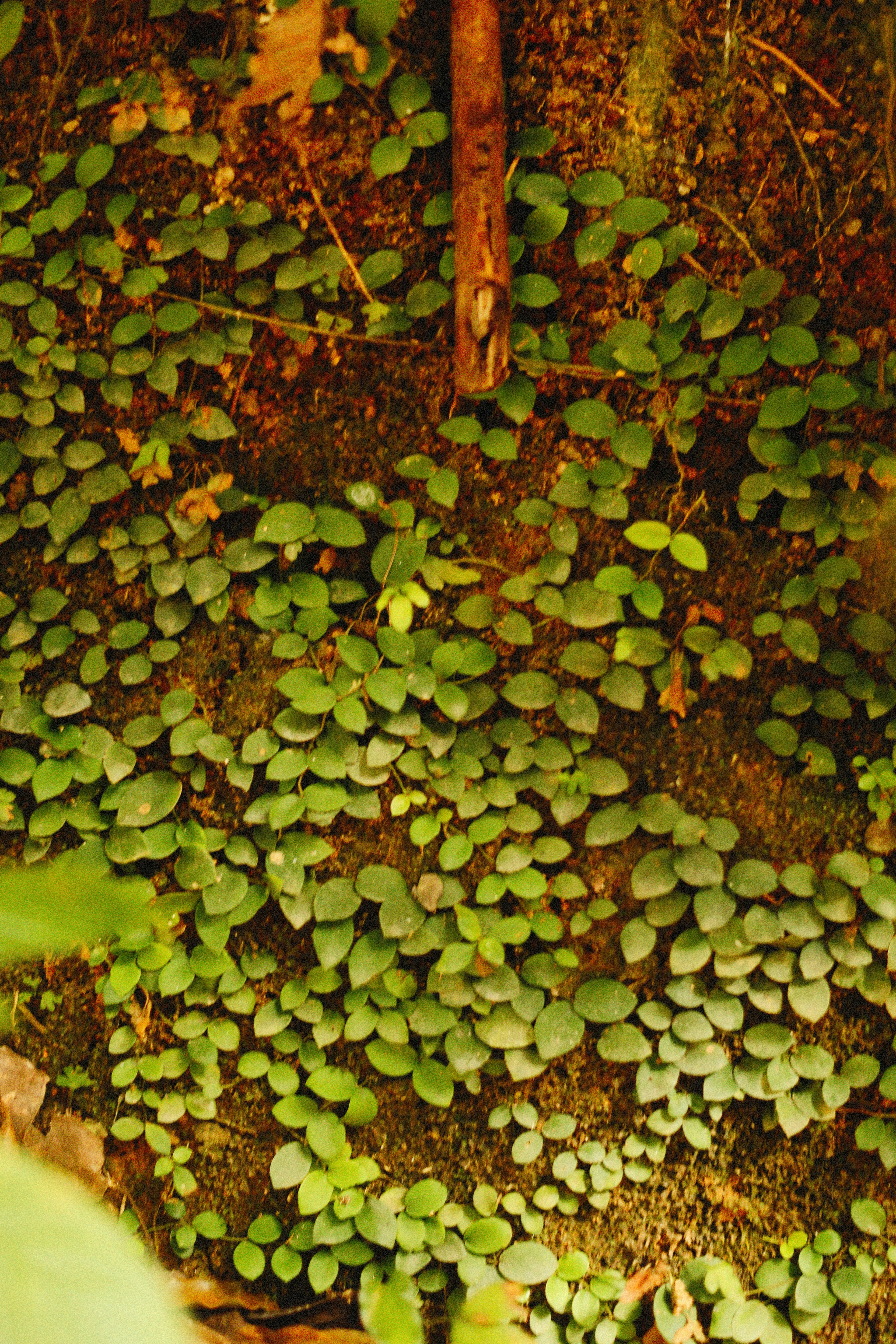 Photo by alexeydemidov