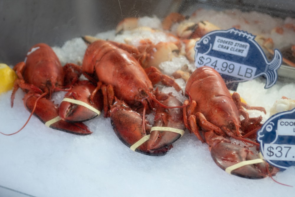 a bunch of lobsters are on display in a case