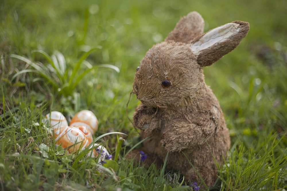 a stuffed rabbit sitting in the grass next to some eggs