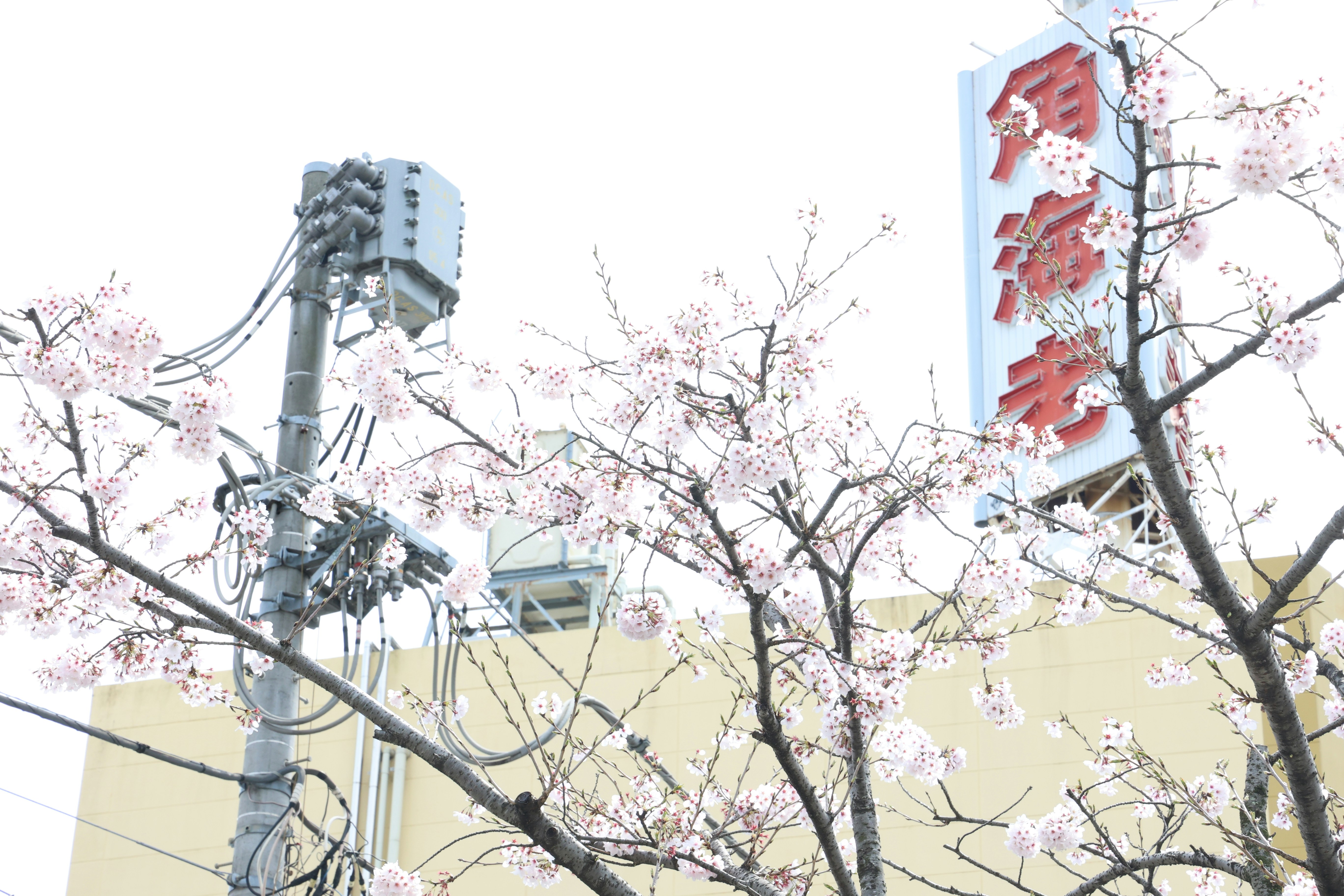 Photo by nananafuzimi