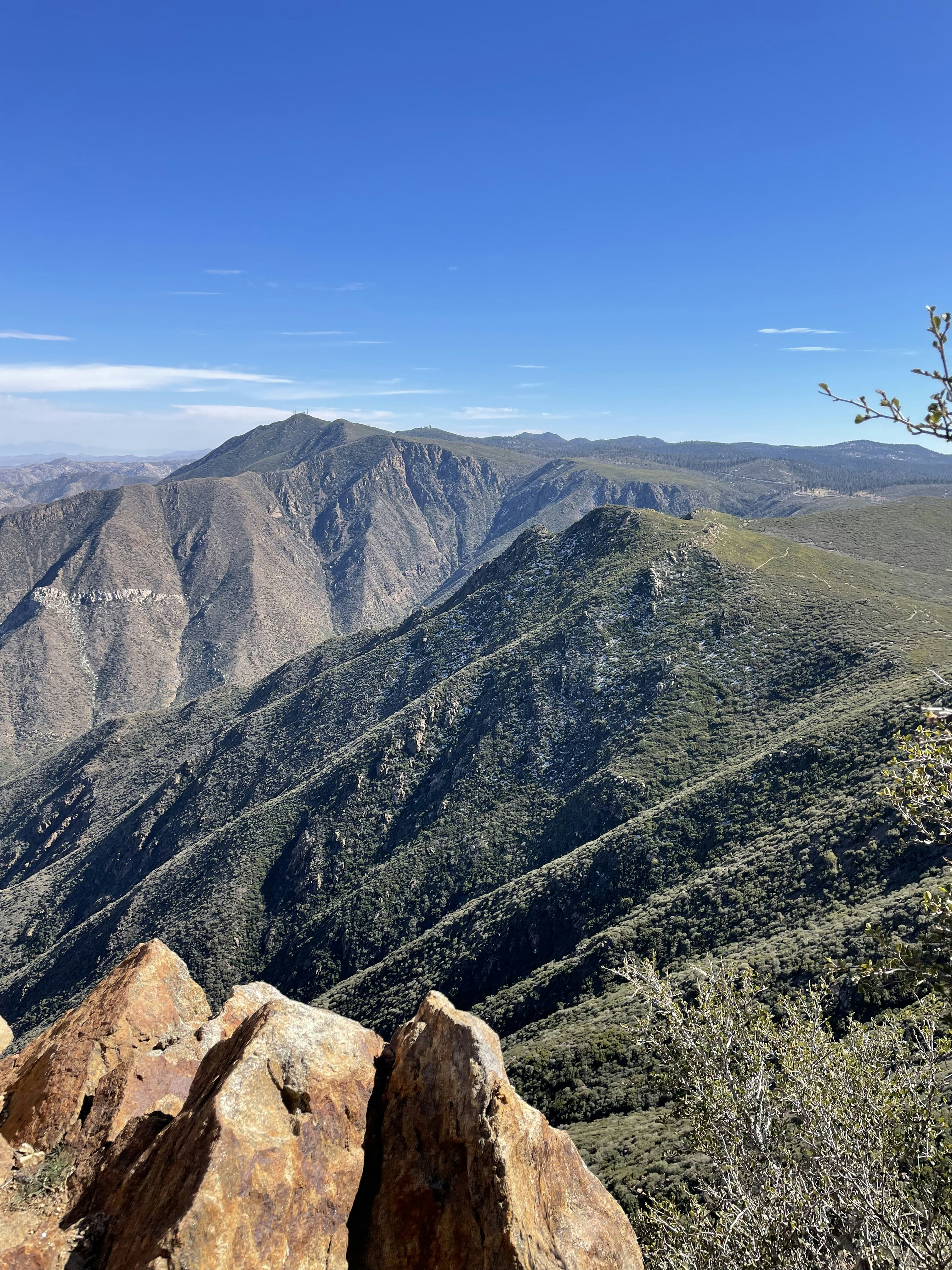 Photo by maiquynhtruong