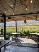 Scenic outdoor dining area showcasing seasonal culinary delights.