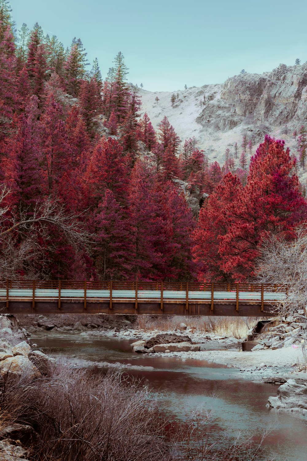 a bridge over a river in the middle of a forest