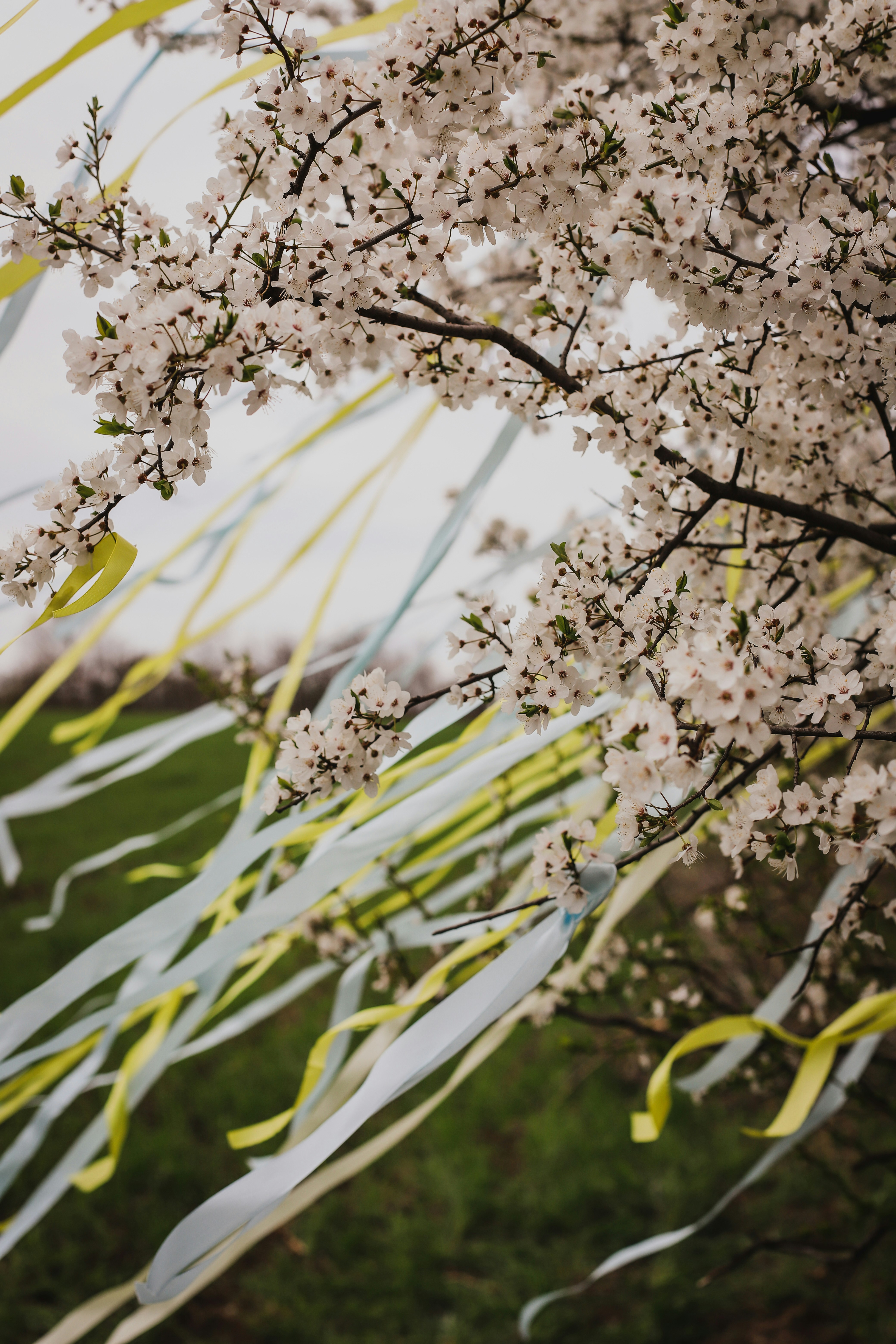 Unsplashで見つけるウクライナ戦争の無料写真