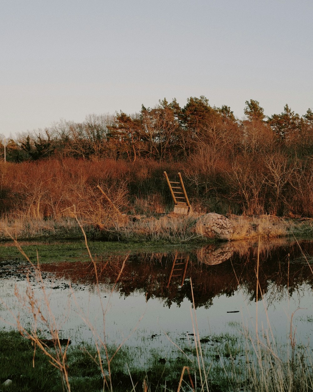 a chair sitting in the middle of a field next to a body of water