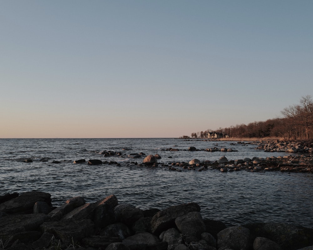 a body of water surrounded by rocks and trees