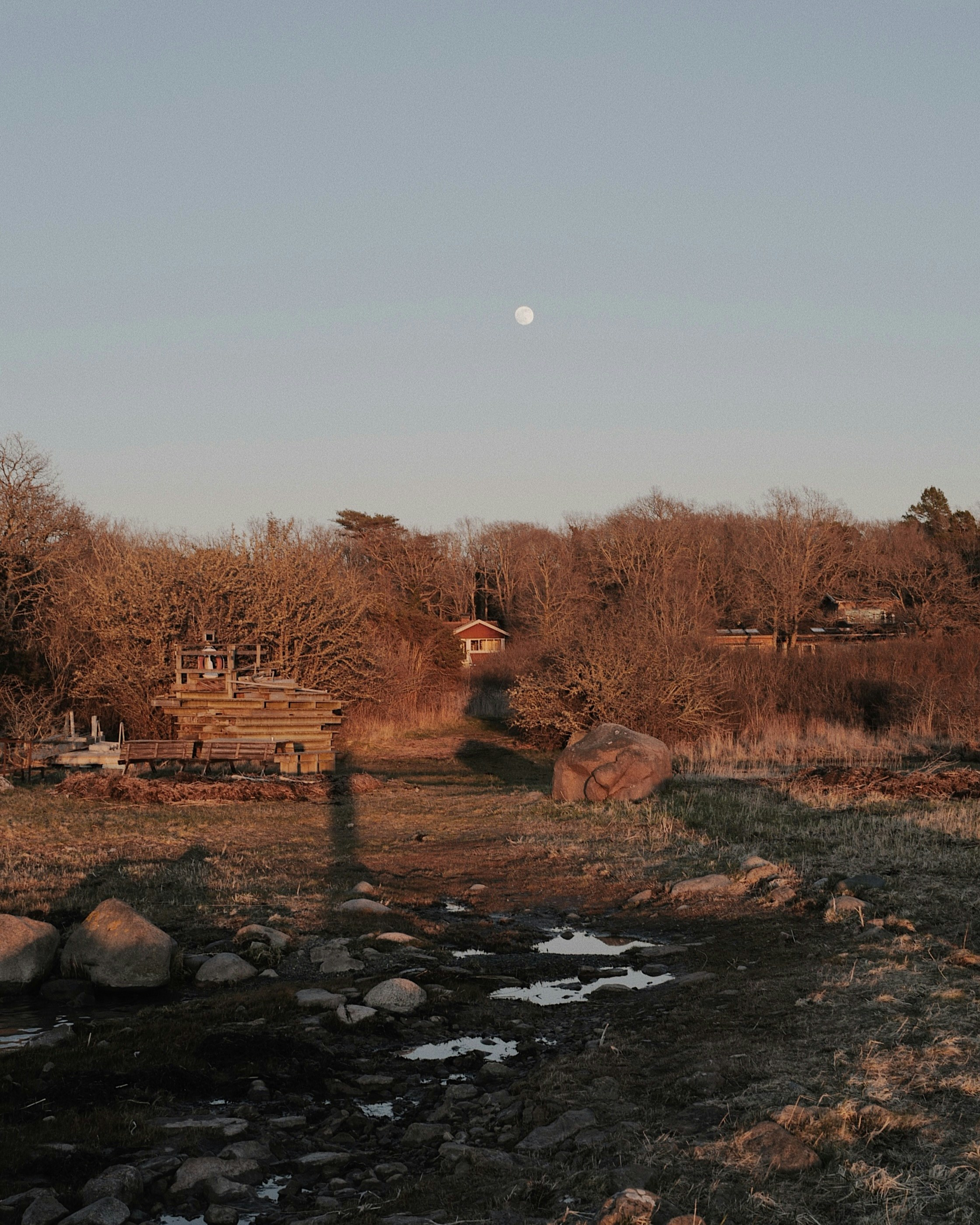 a small stream running through a lush green field