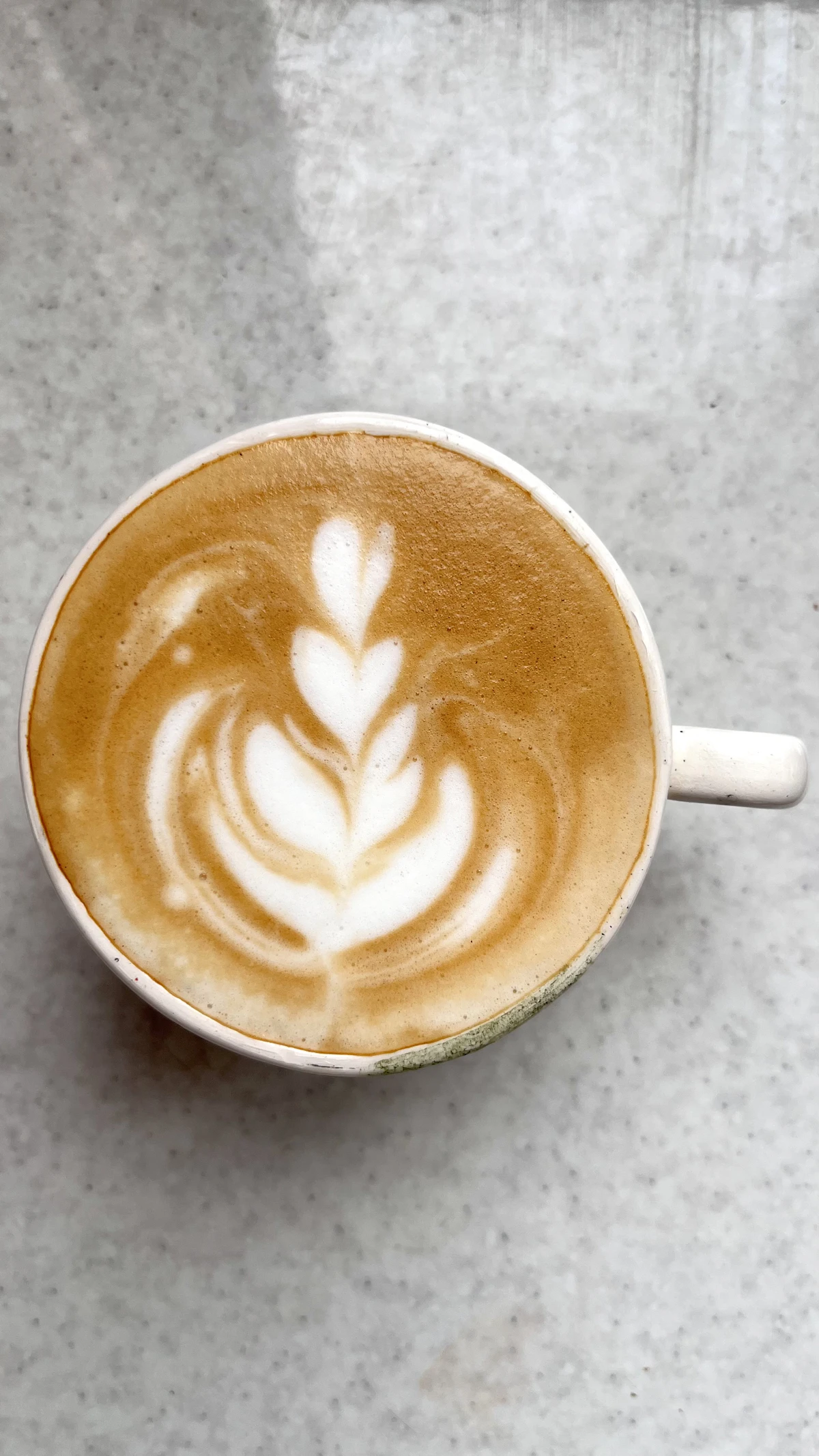 Latte de Vainilla